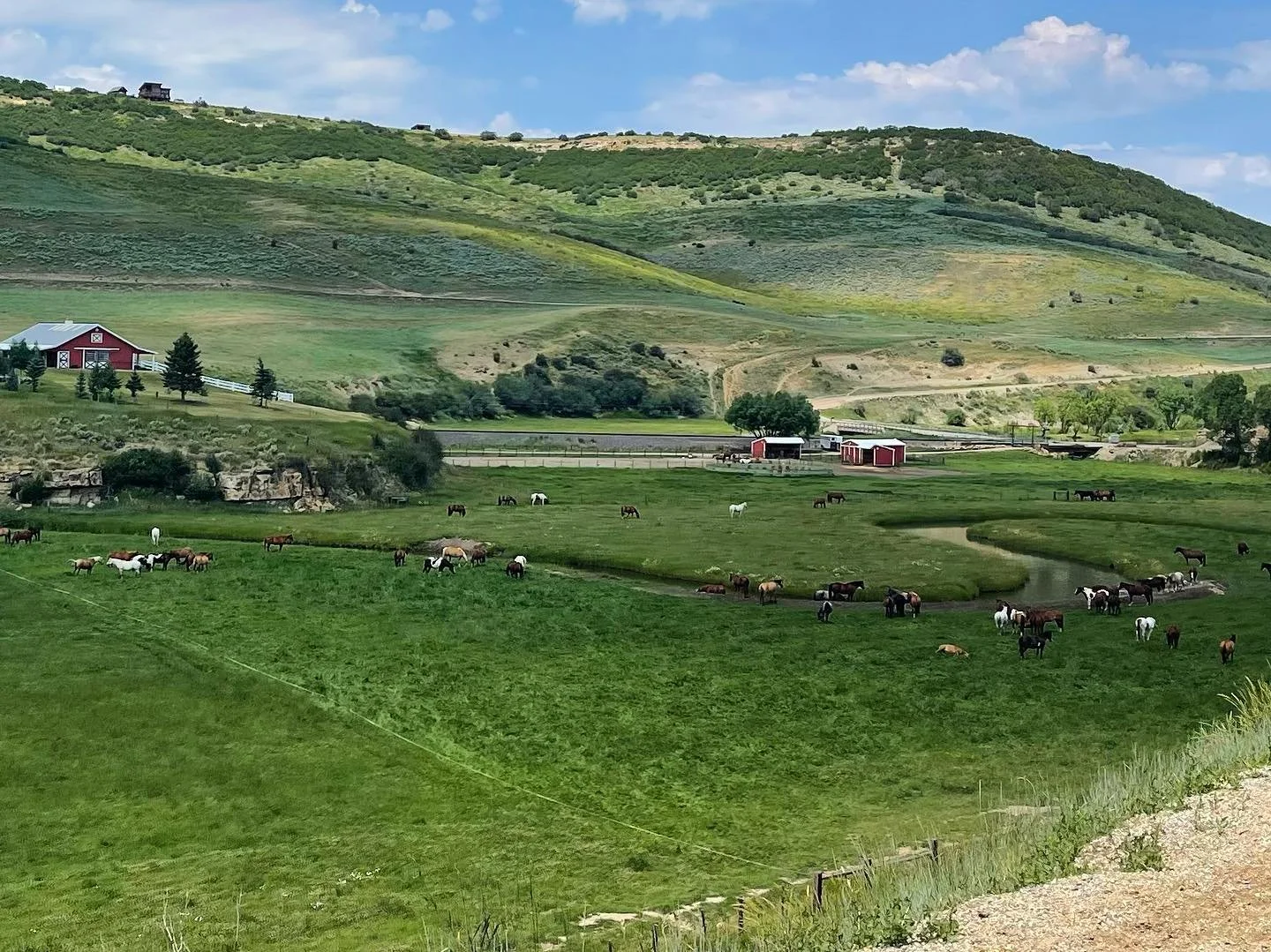 A view of the sprawling, lush ranch of Saddleback Ranch, where the grass is bright green as a winding stream runs through the lawn, and horses grouped throughout the scene. Atop the hill is the main building, and below are barns for the animals.