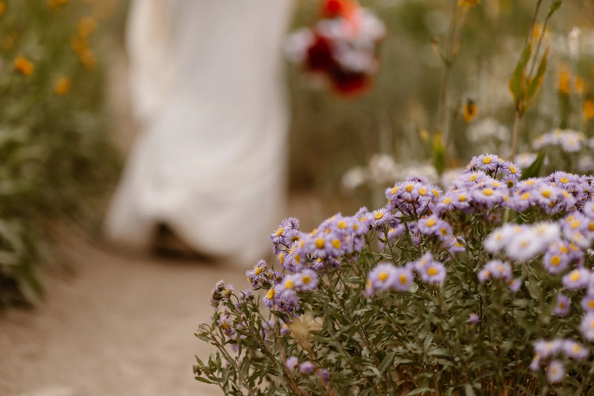 Andrea Enger Photography_-23.jpg