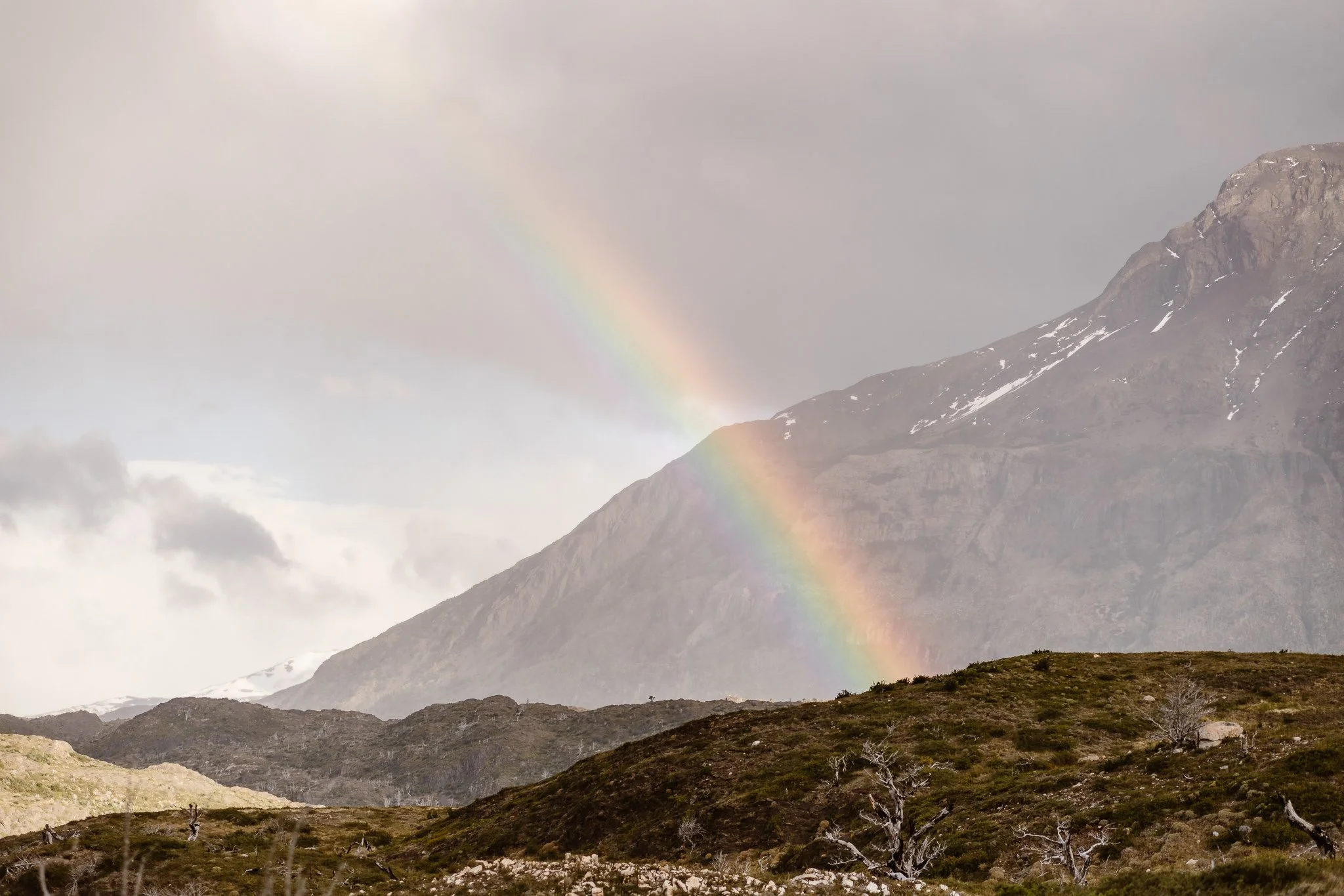 Andrea Enger Photography_-92.jpg