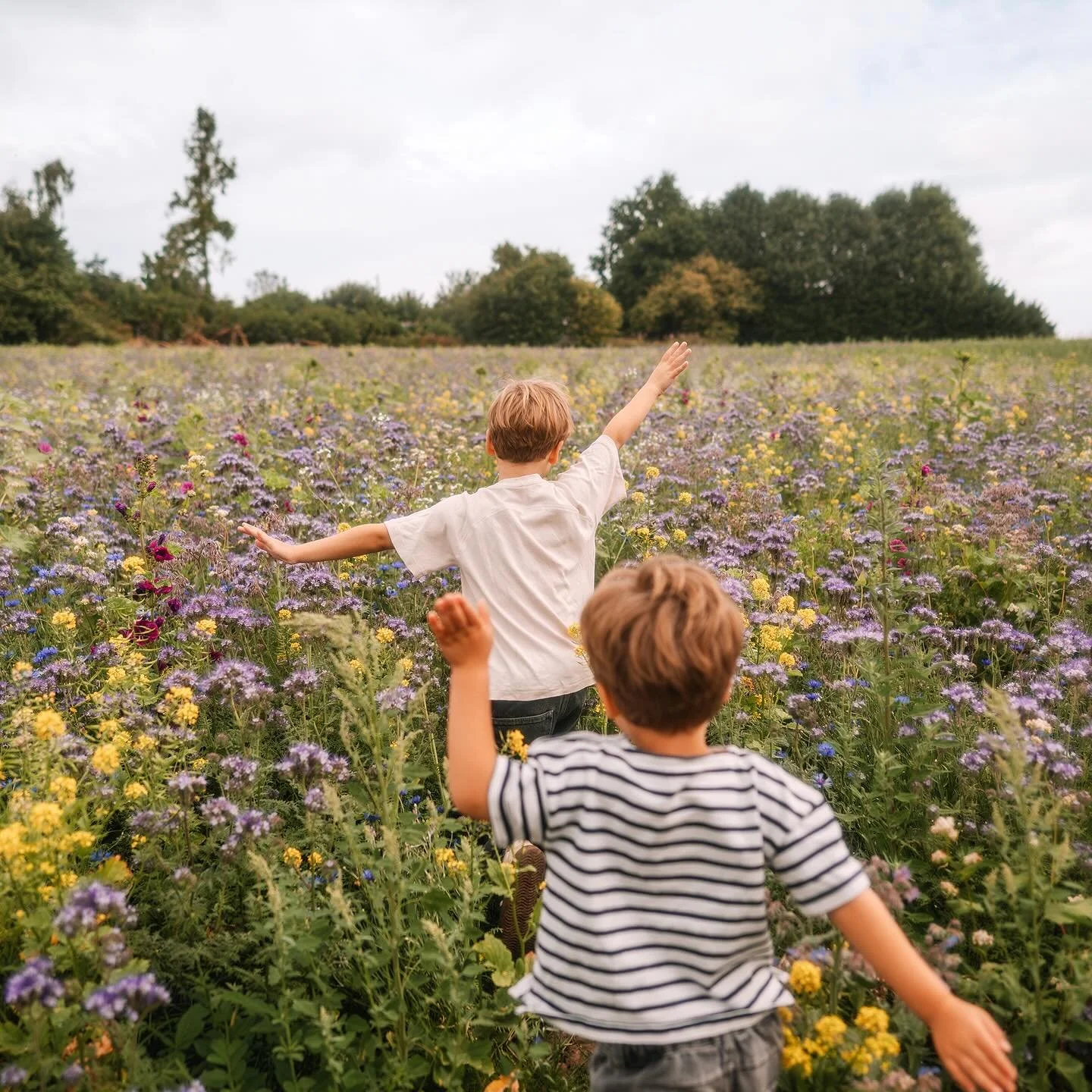 ✌🏻 I AM BACK apr&egrave;s trois mois coll&eacute;e-serr&eacute;e avec Muse ~ je ne pouvais r&ecirc;ver plus douce reprise qu&rsquo;avec eux 5! ✨