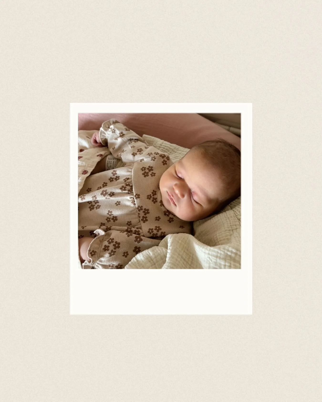 🎪 Muse [muz] 🦢 ~ le 25.o4 🌞 l&rsquo;Amour fouuu 💛