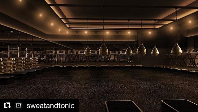 More hotness for one of our latest projects:
#Repost @sweatandtonic with @repostapp
・・・
Welcome to the HITT studio. 16 Technogym Skillrun treadmills. 8 Aqua punching bags. 18 fully stocked strength stations. Integrated performance tracking. Our three