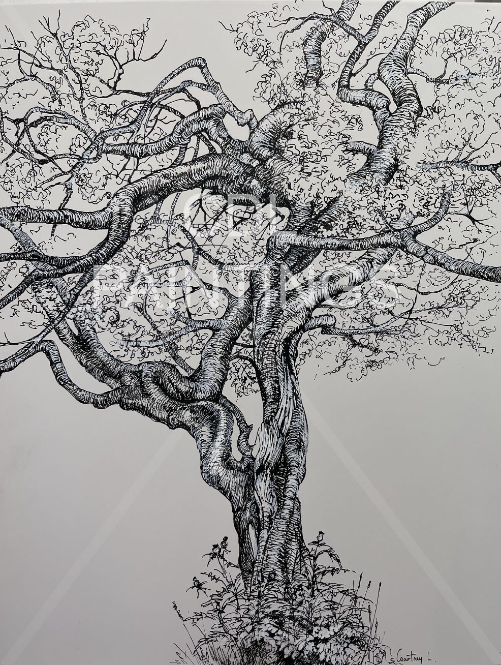Tree Study 40x50 canvas, acrylic pen.jpg