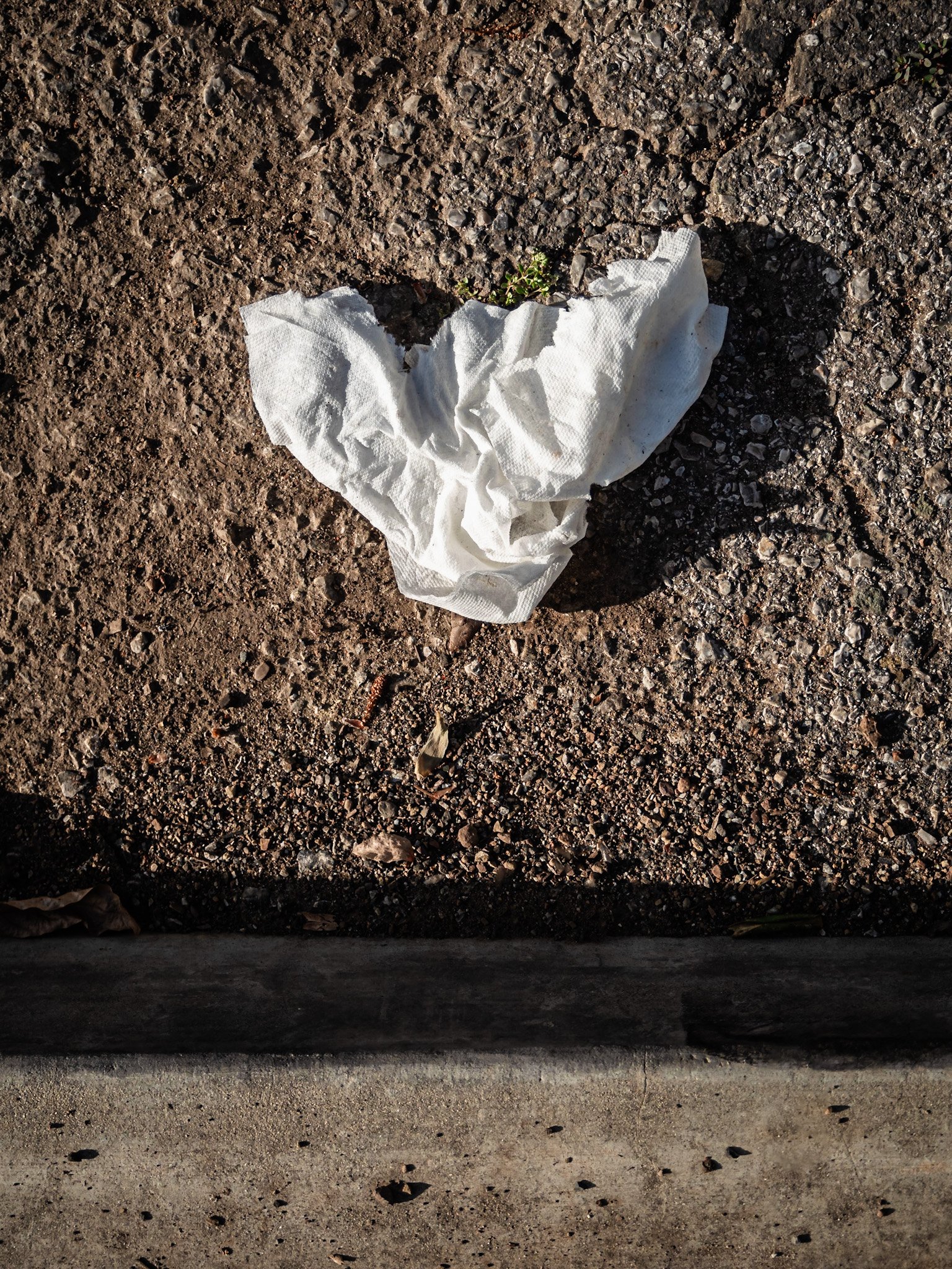 Untitled Curbside Composition with Trash