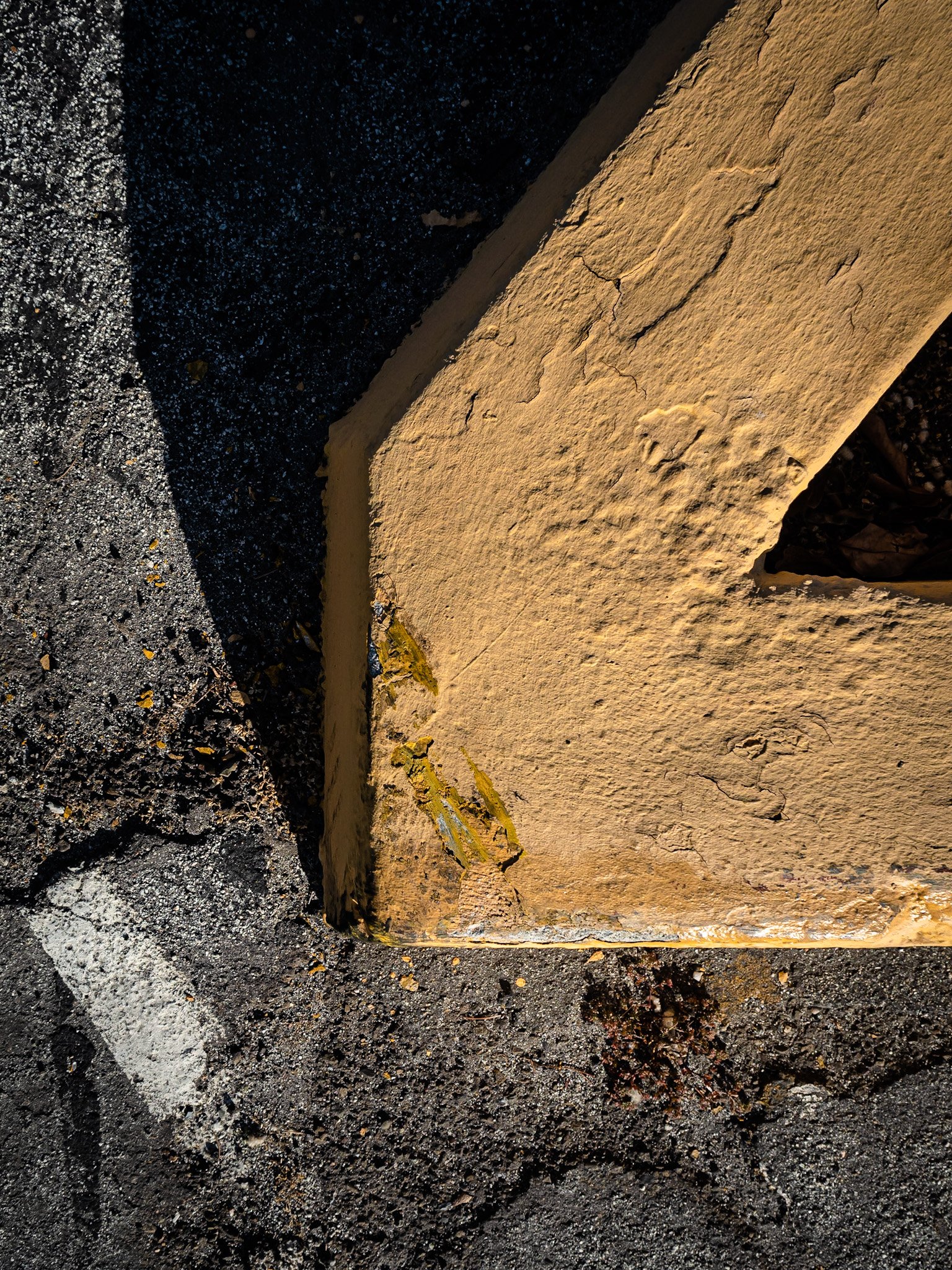 Detail, Parking Lot. Early Summer Evening.