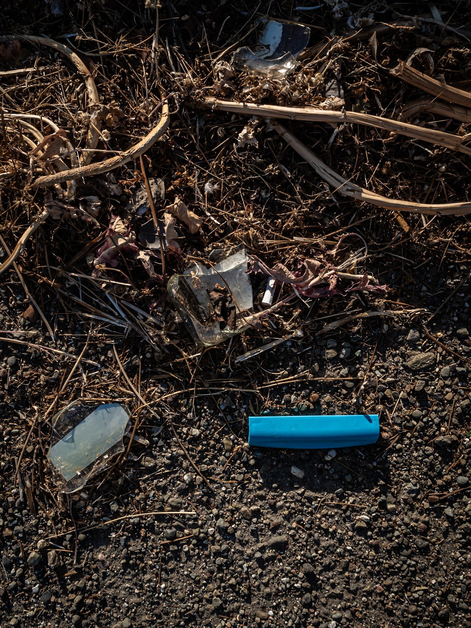 Trash Behind a Gas Station, Early Summer Evening