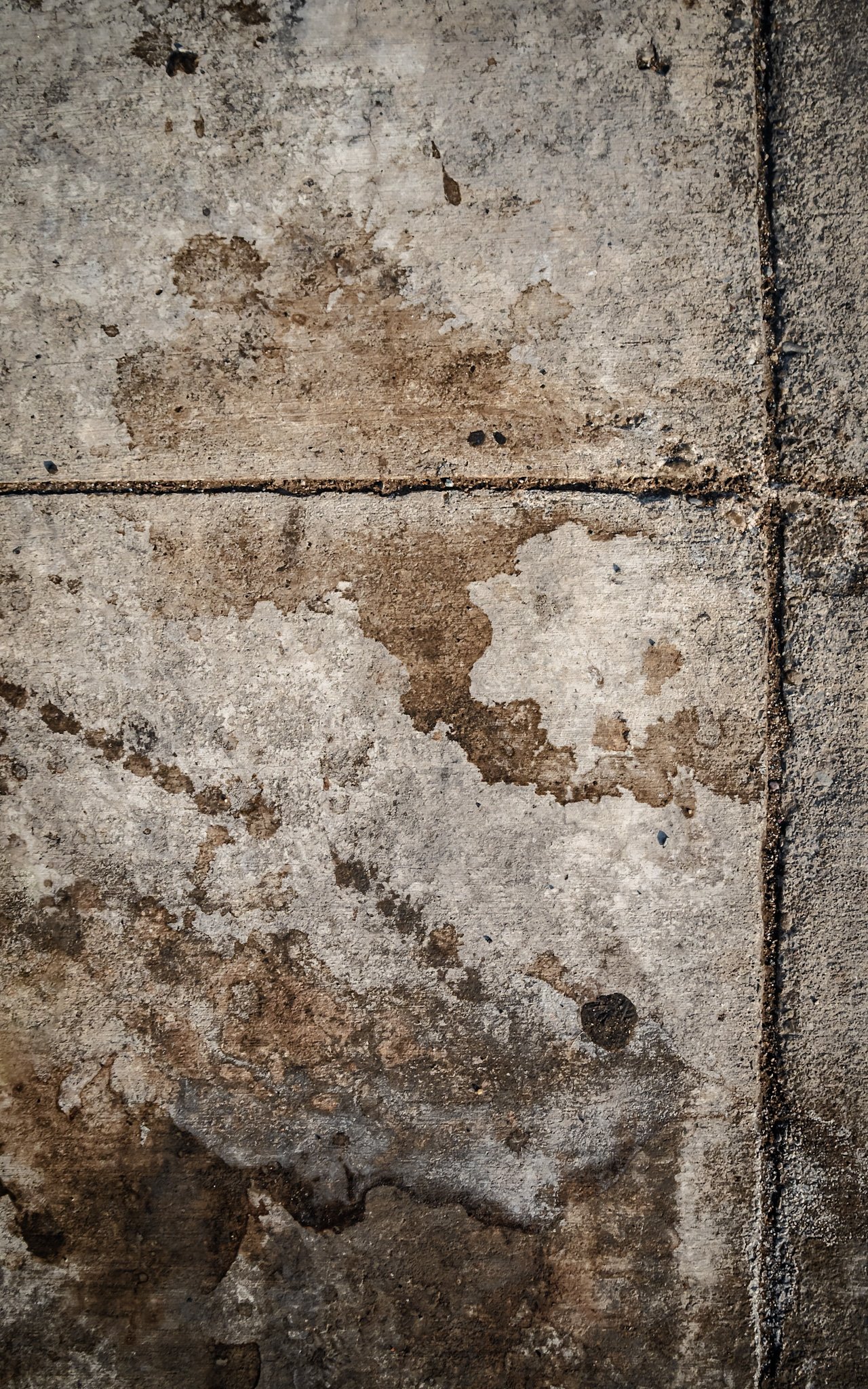 Untitled Sidewalk Study #1