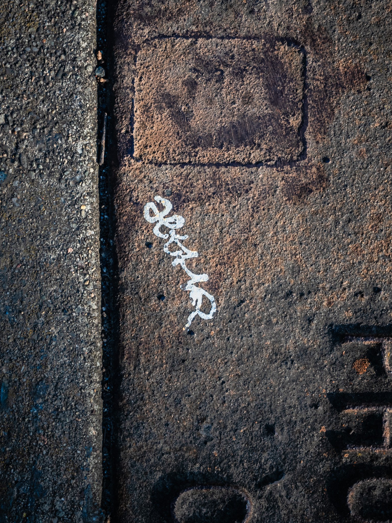 Tagged Drainage Cover (Detail)