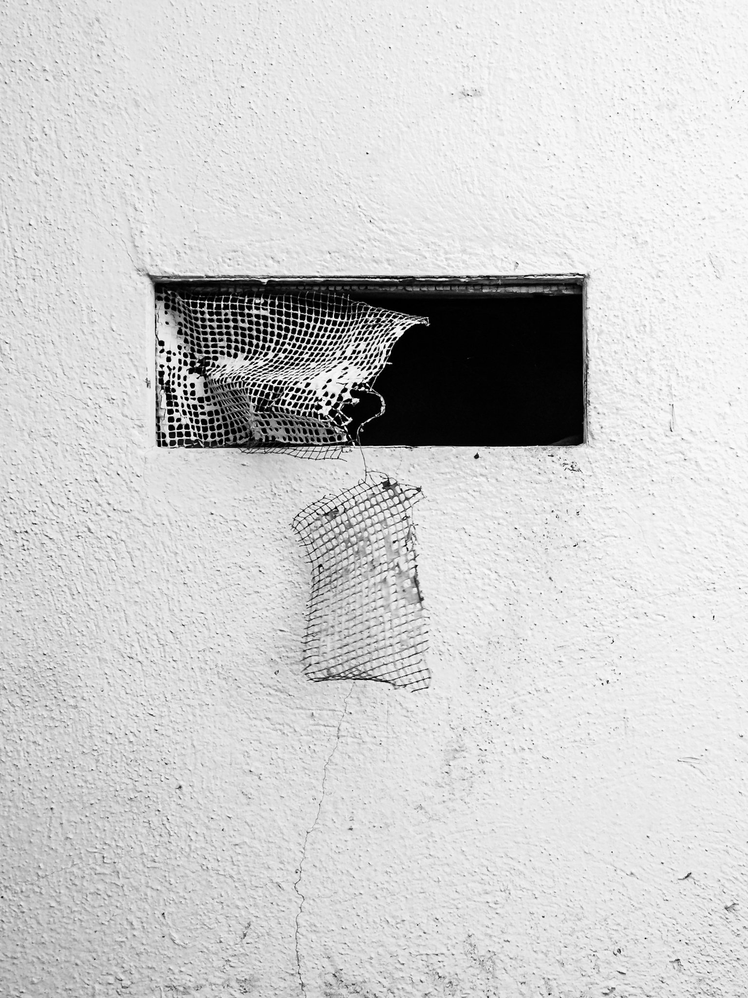 Torn Rat Screen