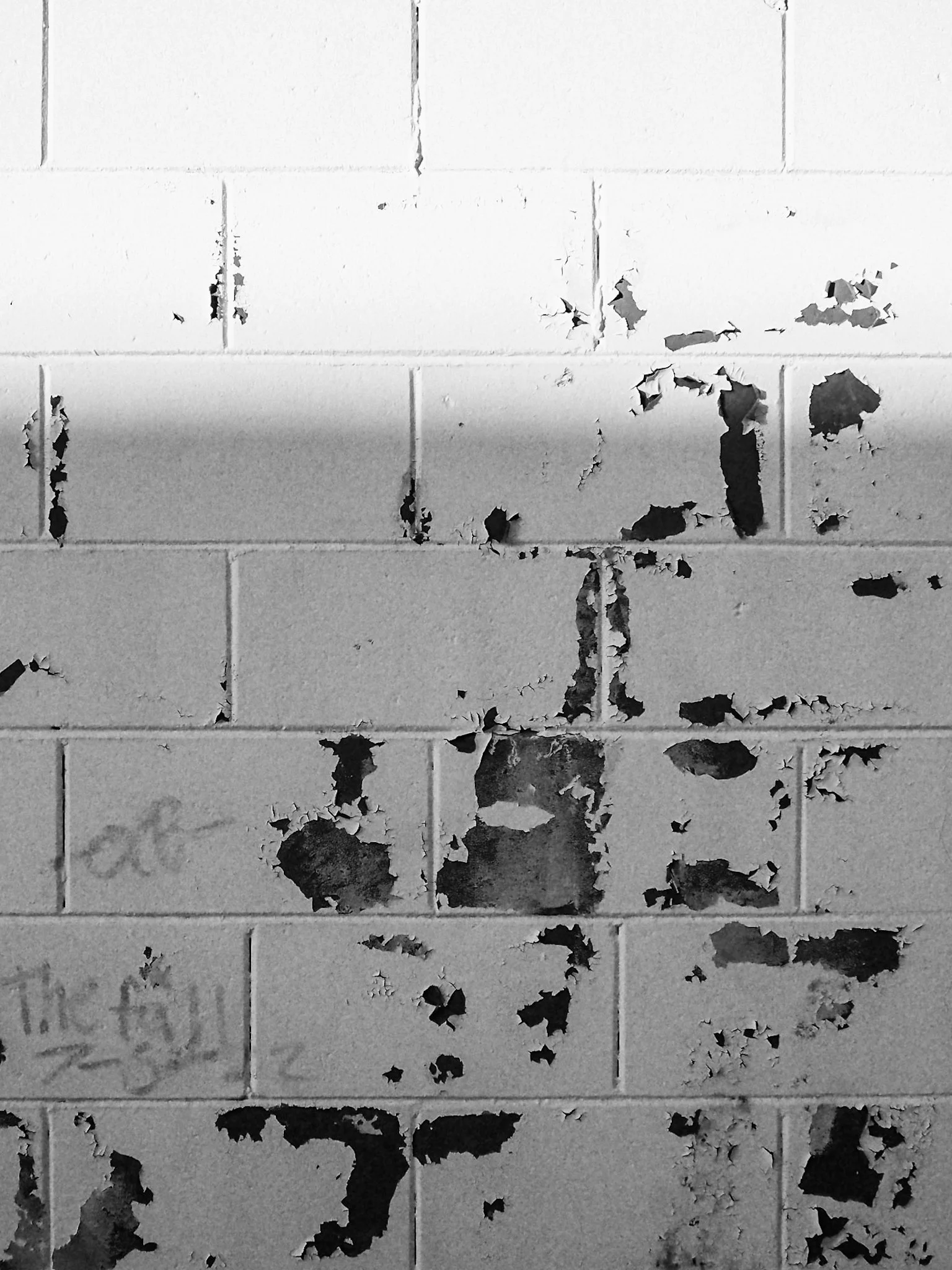 Peeling Paint on Cinder Block Wall