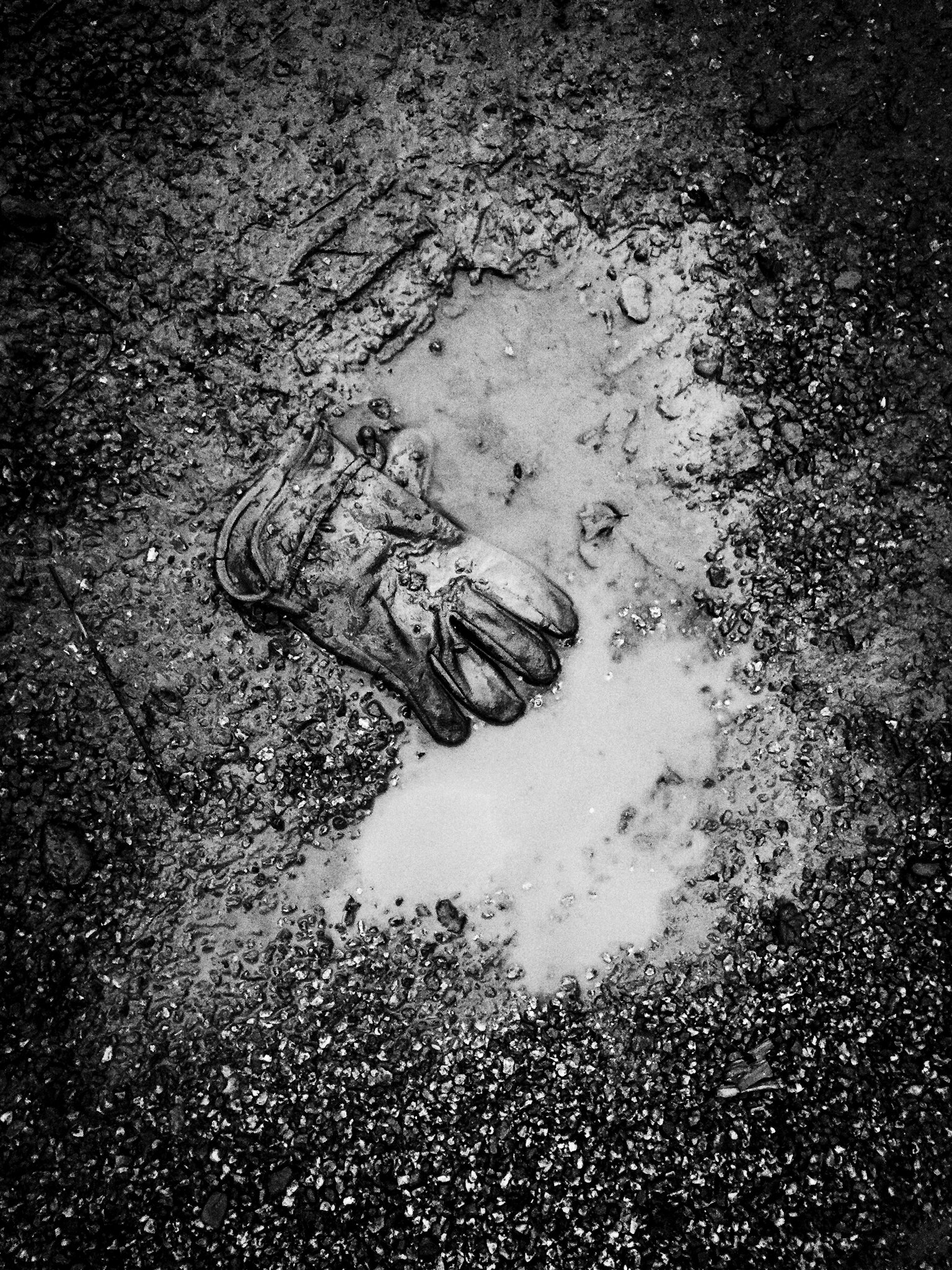 Abandoned Workglove