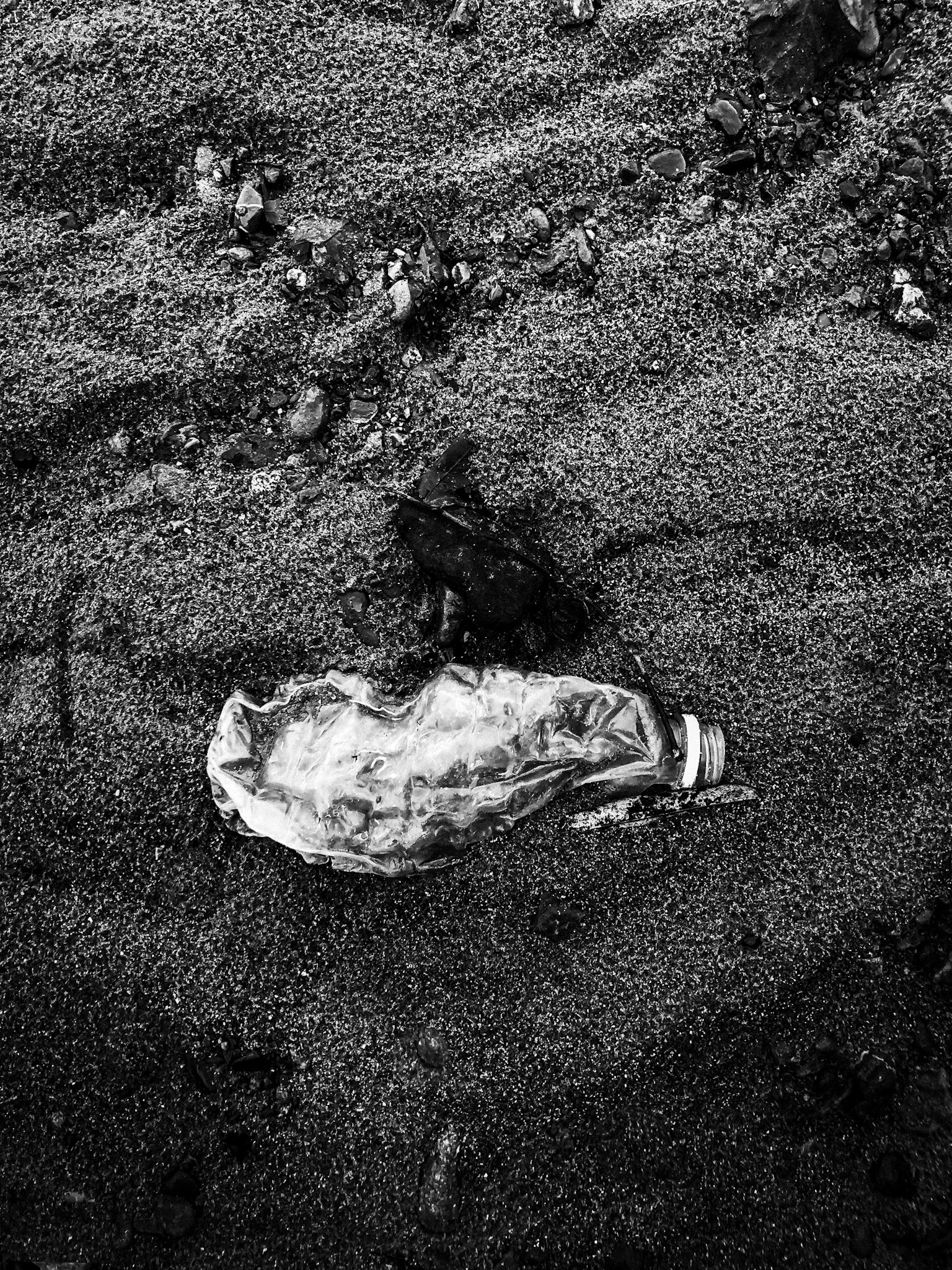 Crushed Plastic Bottle on the Lakebed