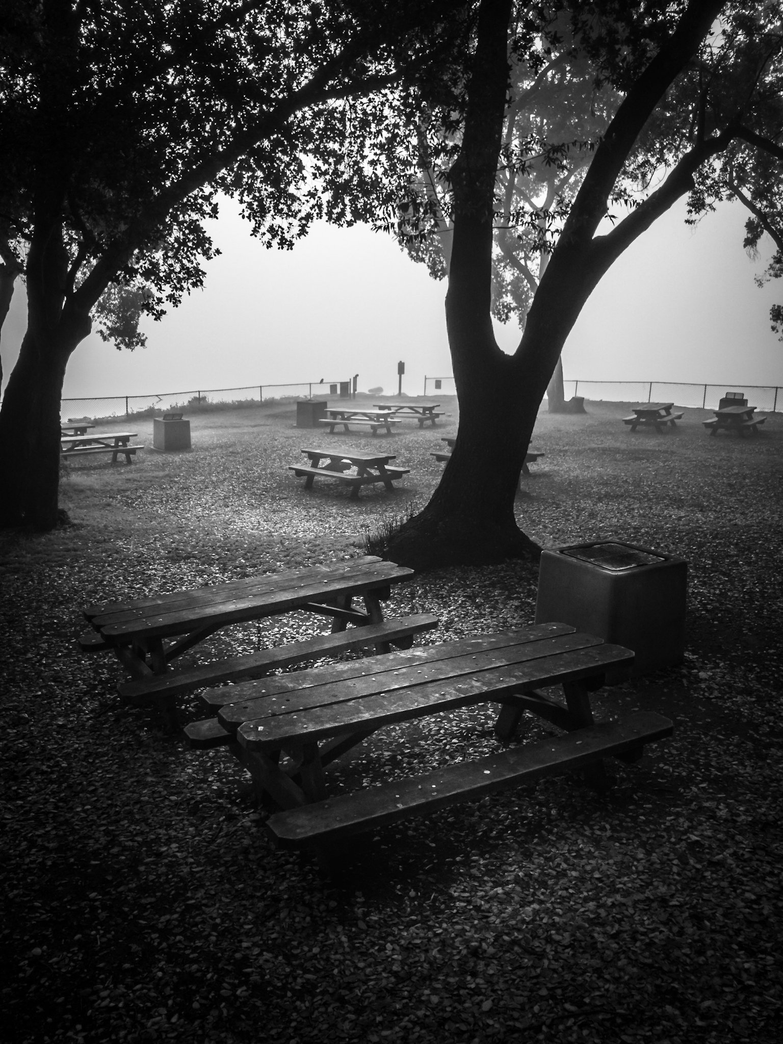 Picnic Area in Morning Fog
