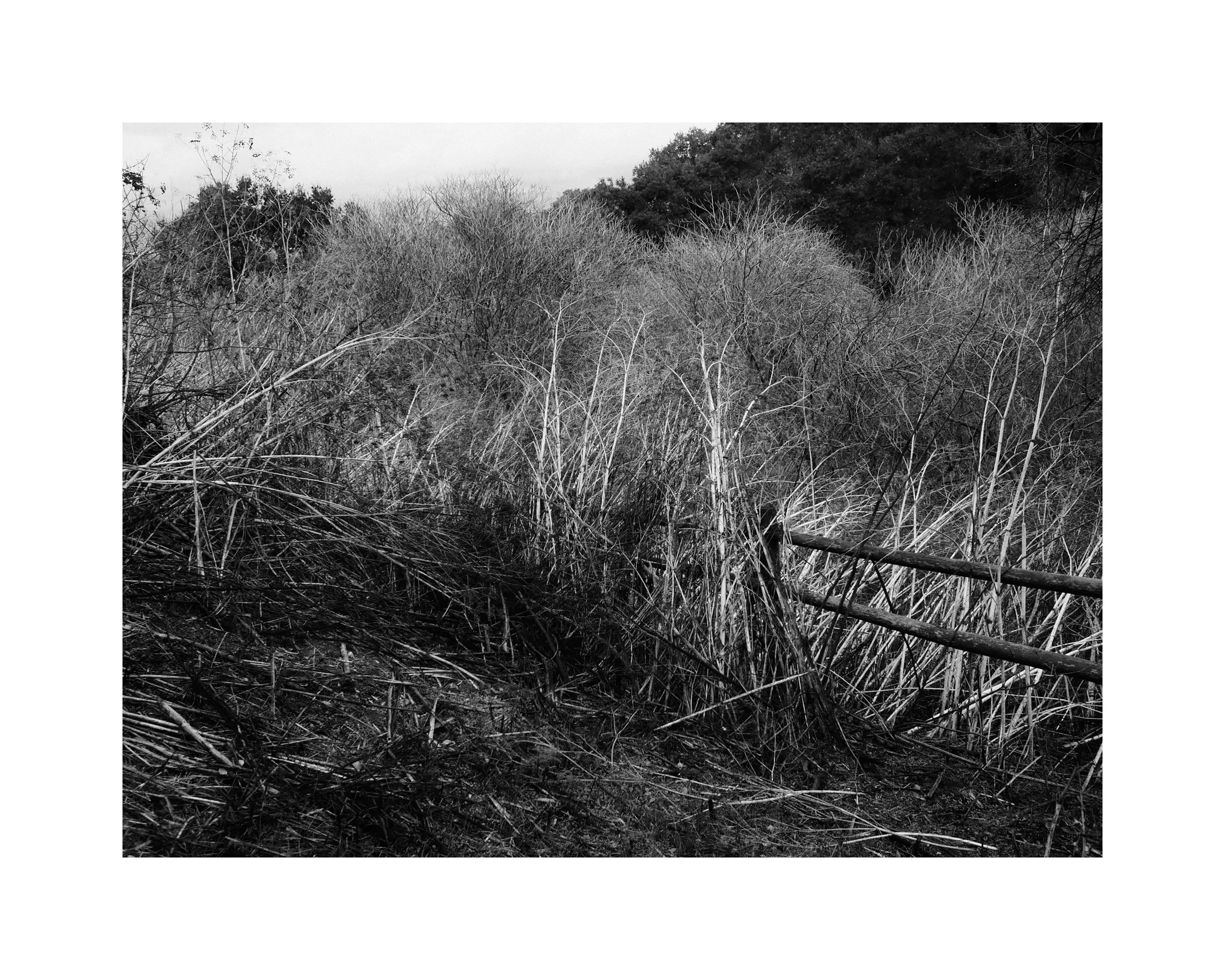 Landscape Above Silicon Valley