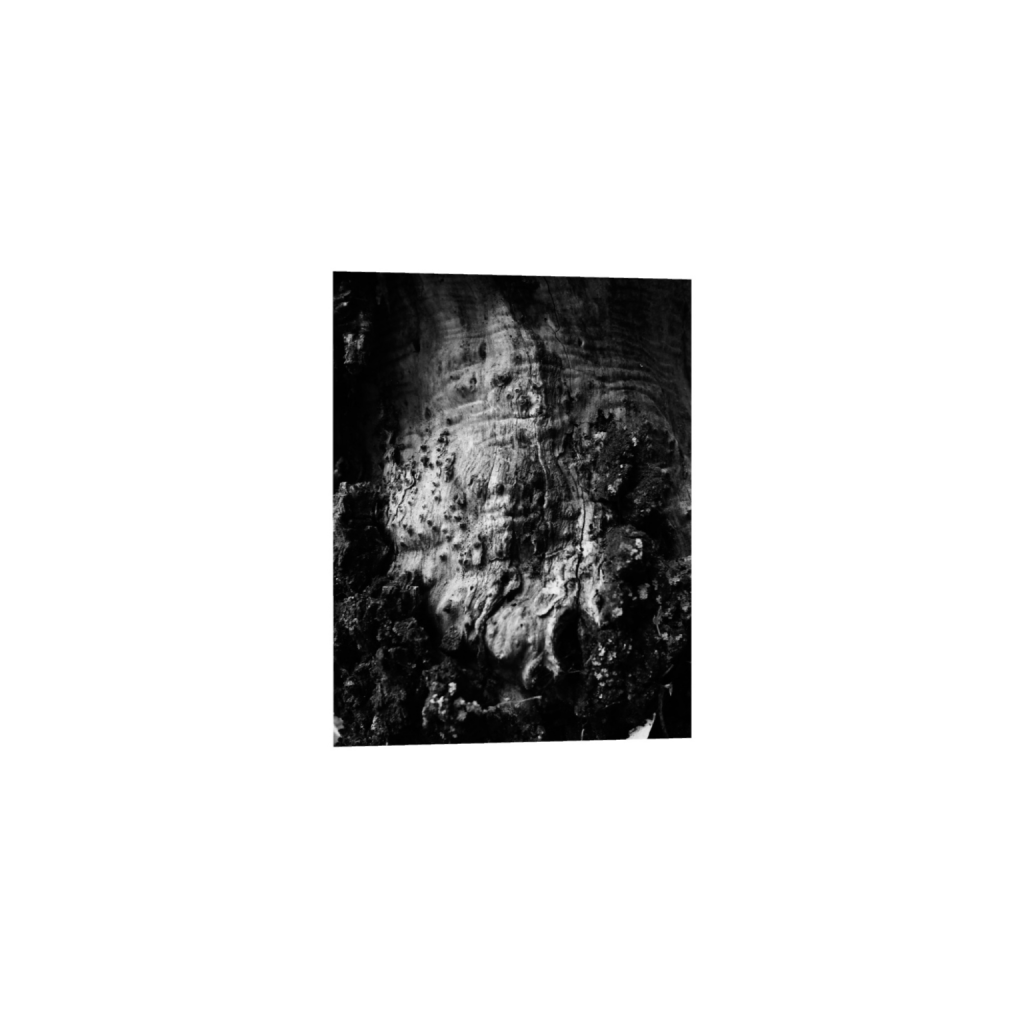 ptq_34_7_109_0_1828_2560_0_false_ffffff_0_0_.png