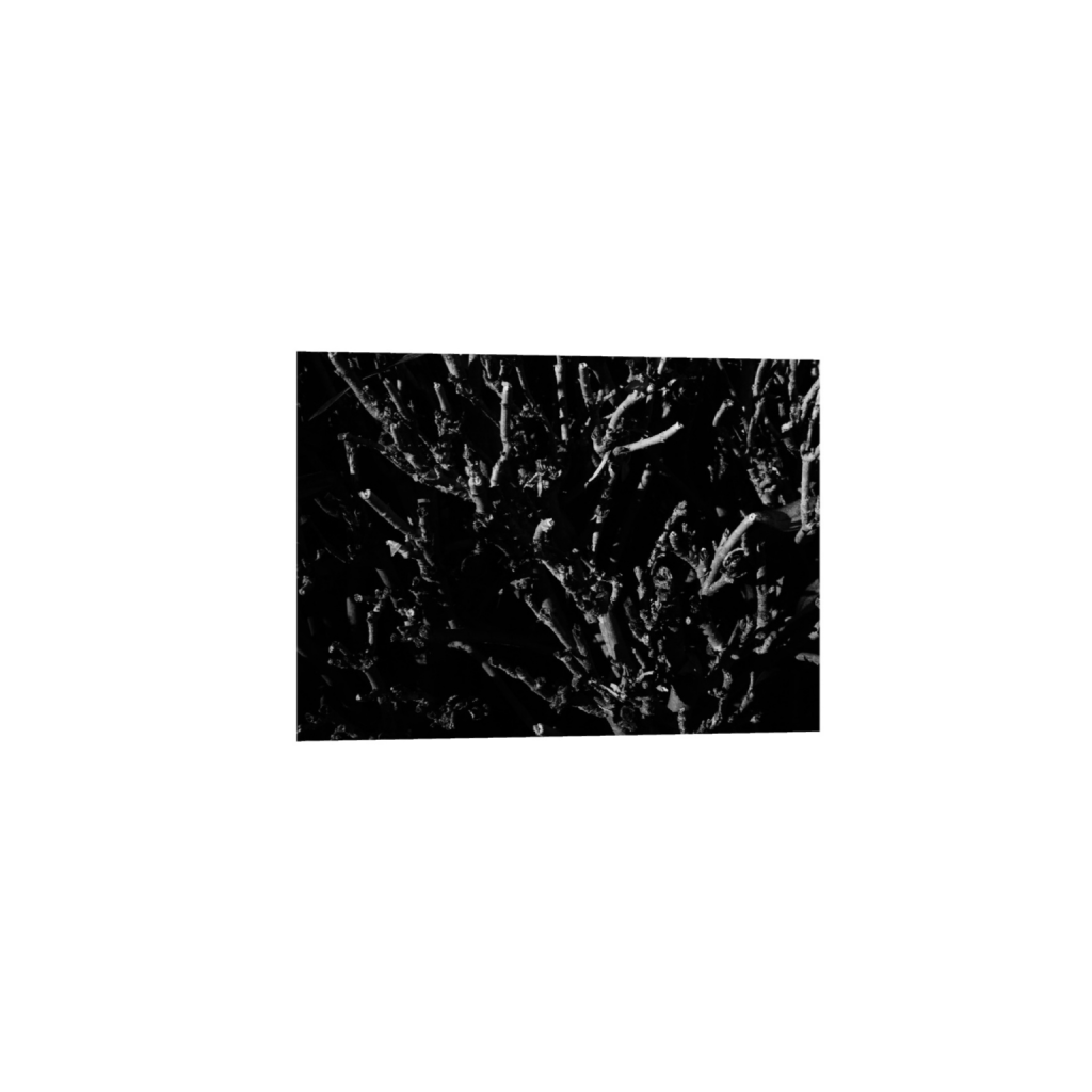 ptq_34_7_0_109_2560_1828_0_false_ffffff_0_0_.png