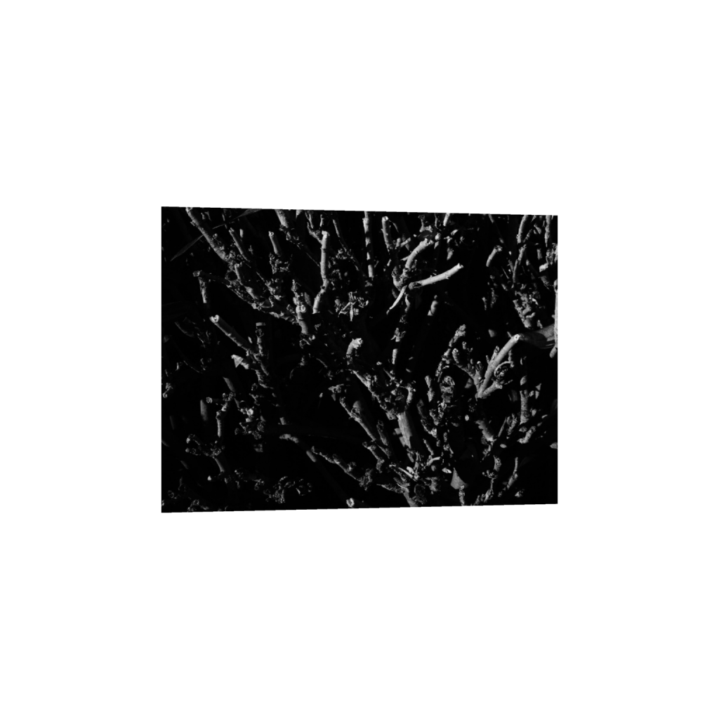 ptq_34_0_256_0_2048_2048_0_false_ffffff_0_0_.png