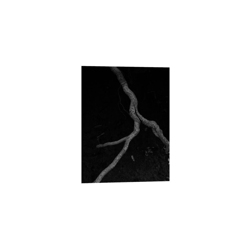 ptq_34_3_170_0_1706_2560_0_false_ffffff_0_0_.png