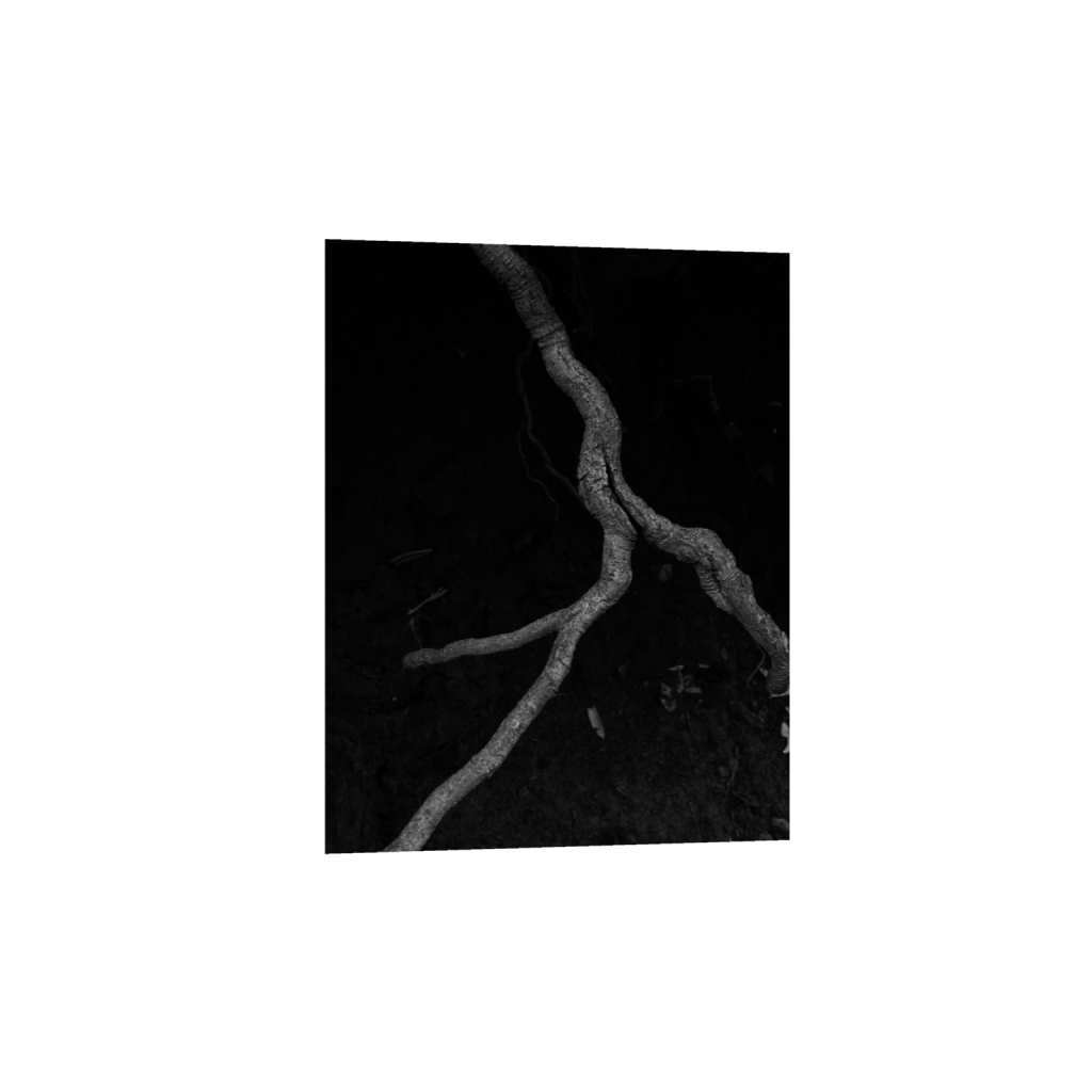 ptq_34_0_0_256_2048_2048_0_false_ffffff_0_0_.png