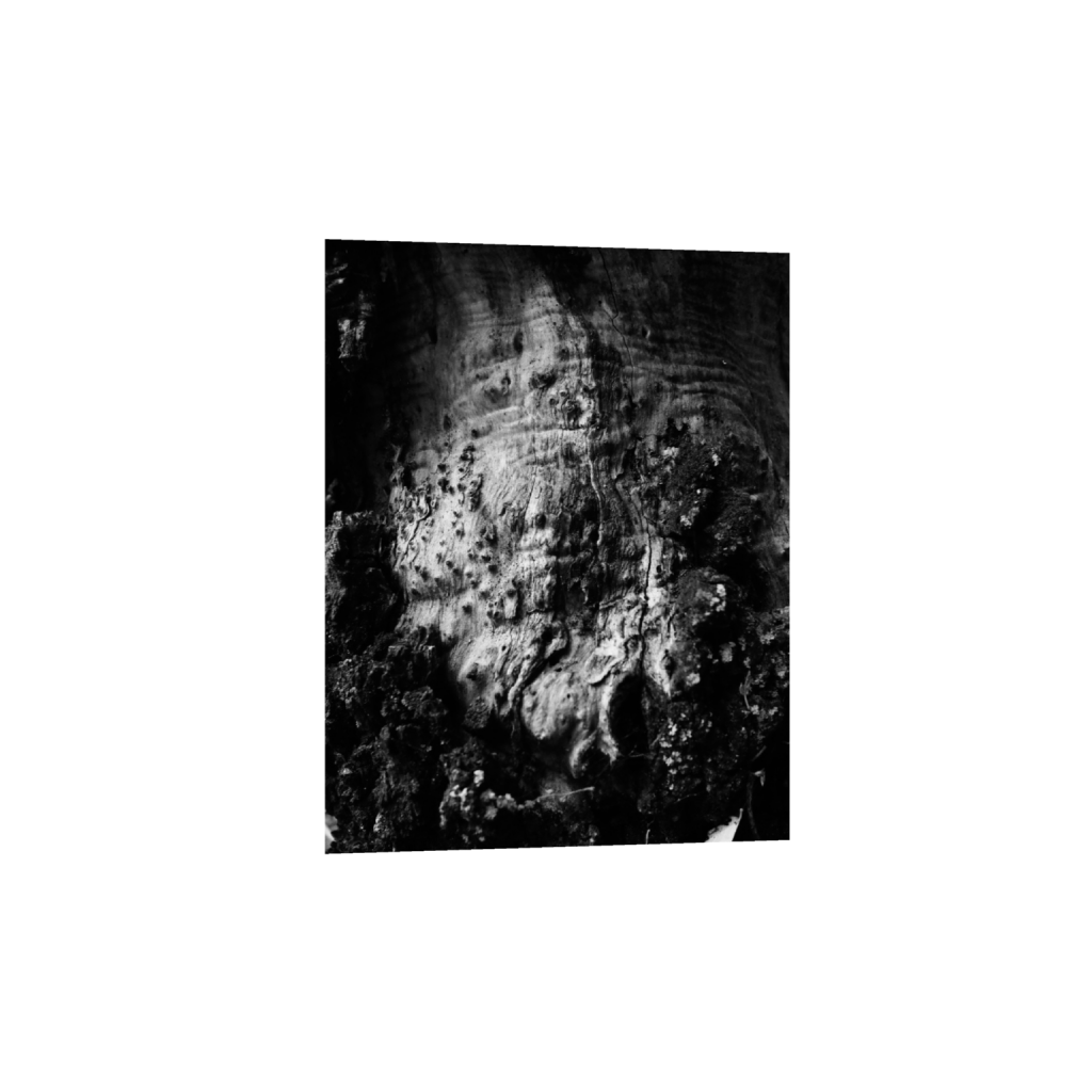 ptq_1_0_0_256_2048_2048_0_false_ffffff_0_0_.png