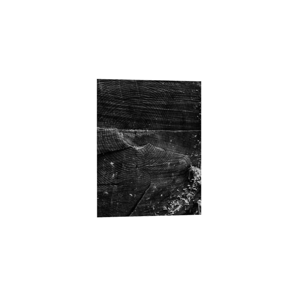 ptq_1_7_109_0_1828_2560_0_false_ffffff_0_0_.png