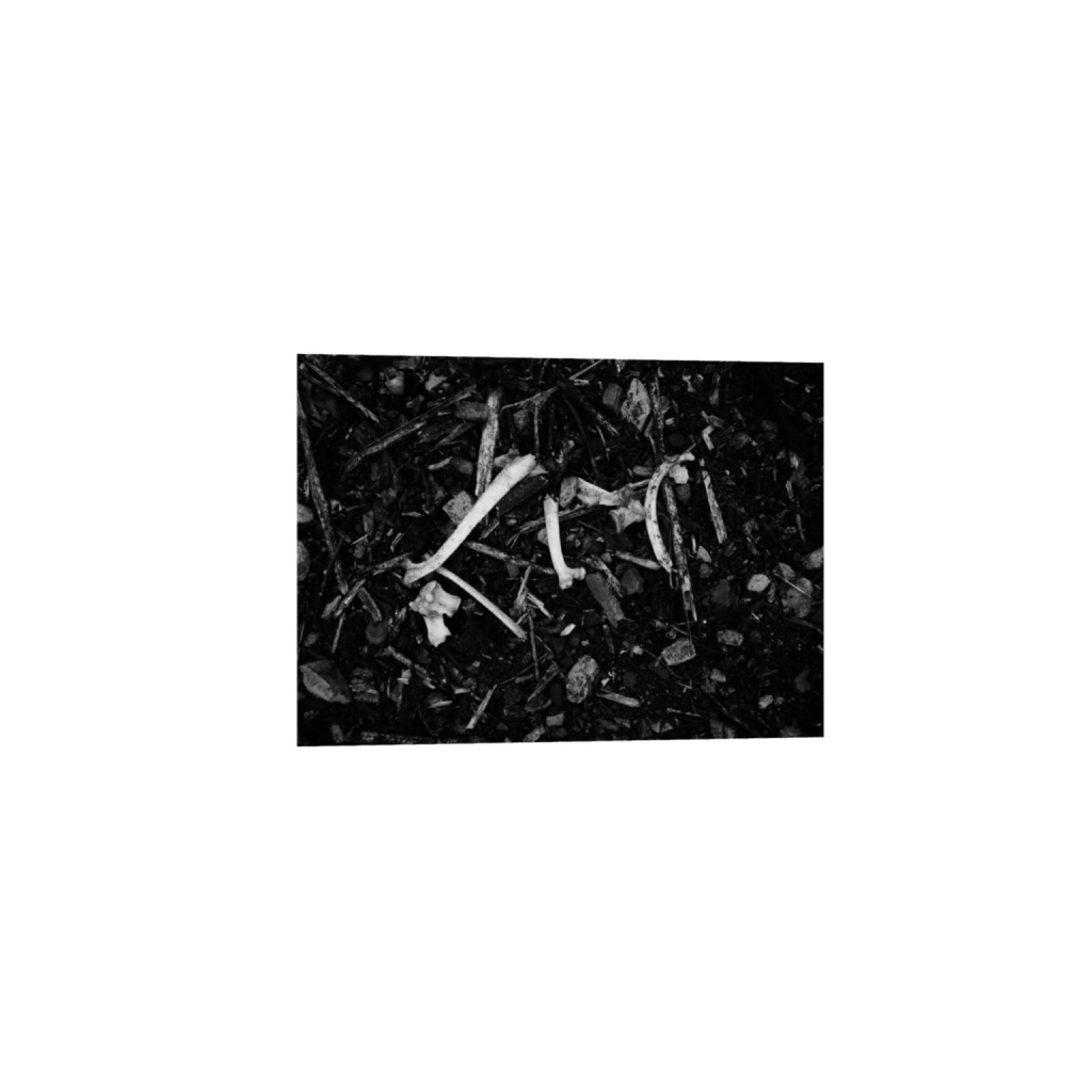 ptq_1_3_0_170_2560_1706_0_false_ffffff_0_0_.png