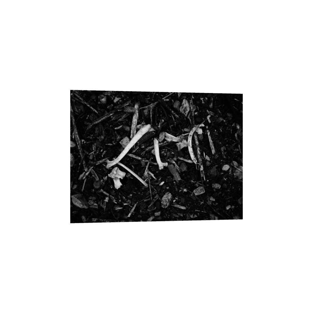 ptq_1_0_256_0_2048_2048_0_false_ffffff_0_0_.png