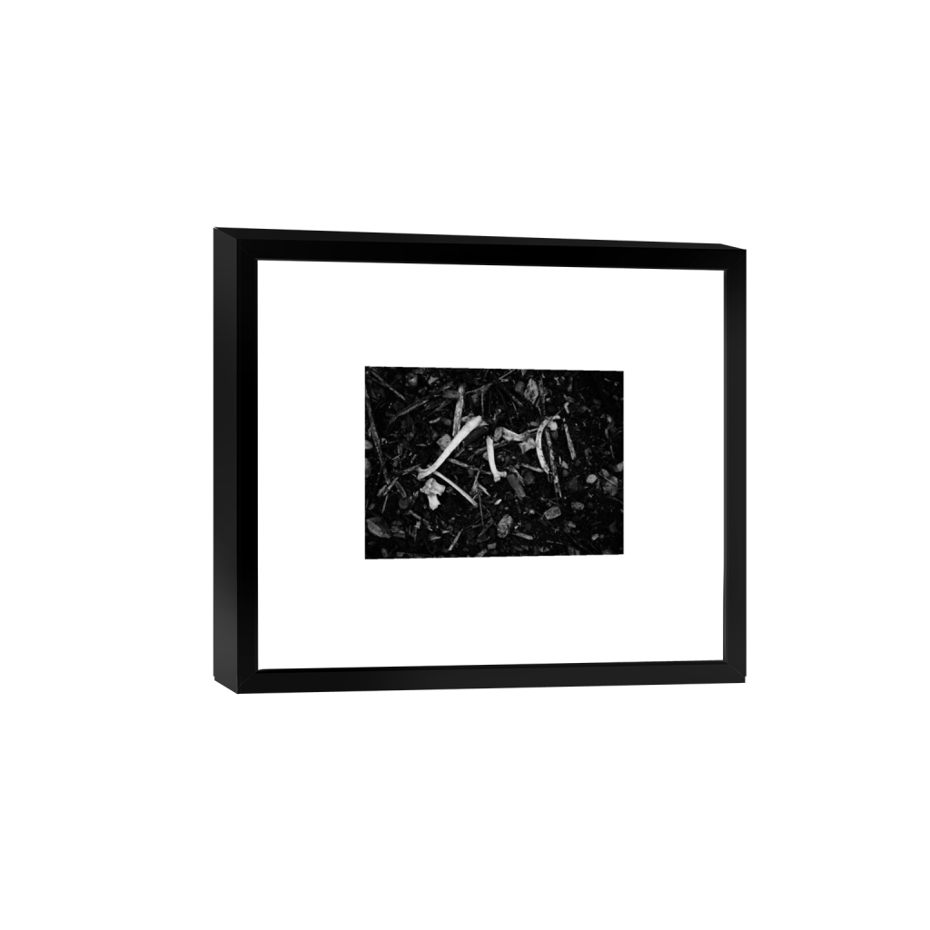 ptq_45_7_0_109_2560_1828_0_false_ffffff_0_0_.png