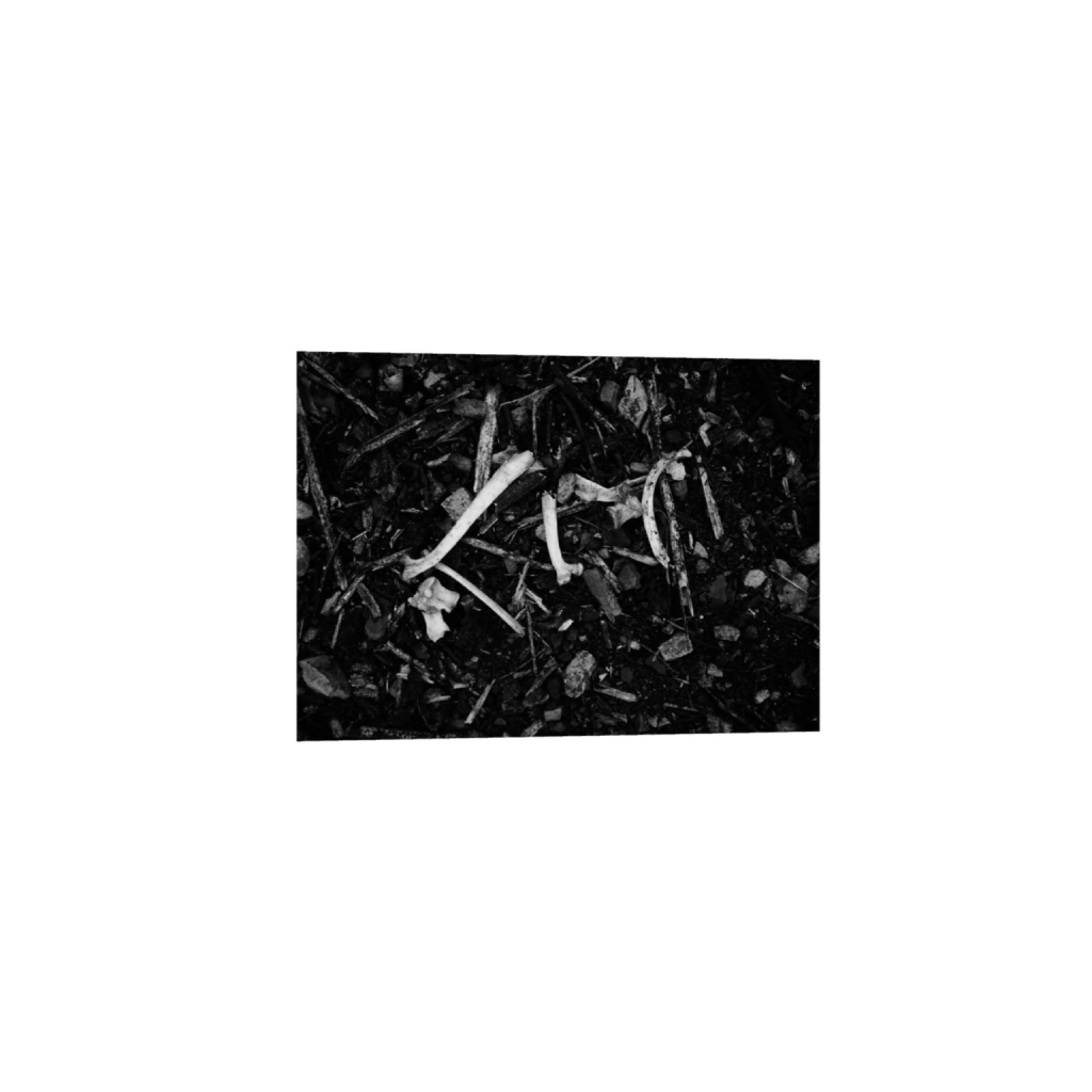 ptq_34_7_0_109_2560_1828_0_false_ffffff_0_0_.png