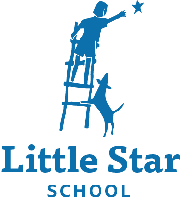 Little Star School