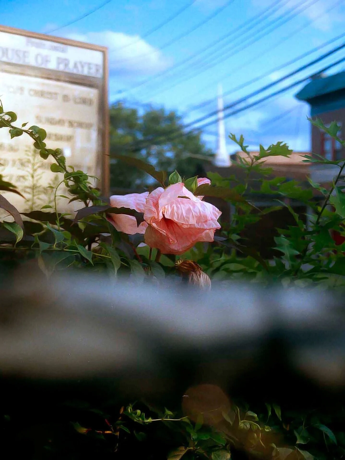 Virtual Resources SVA BFA PHOTO VIDEO