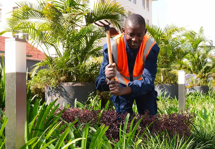 Landscaping.jpg