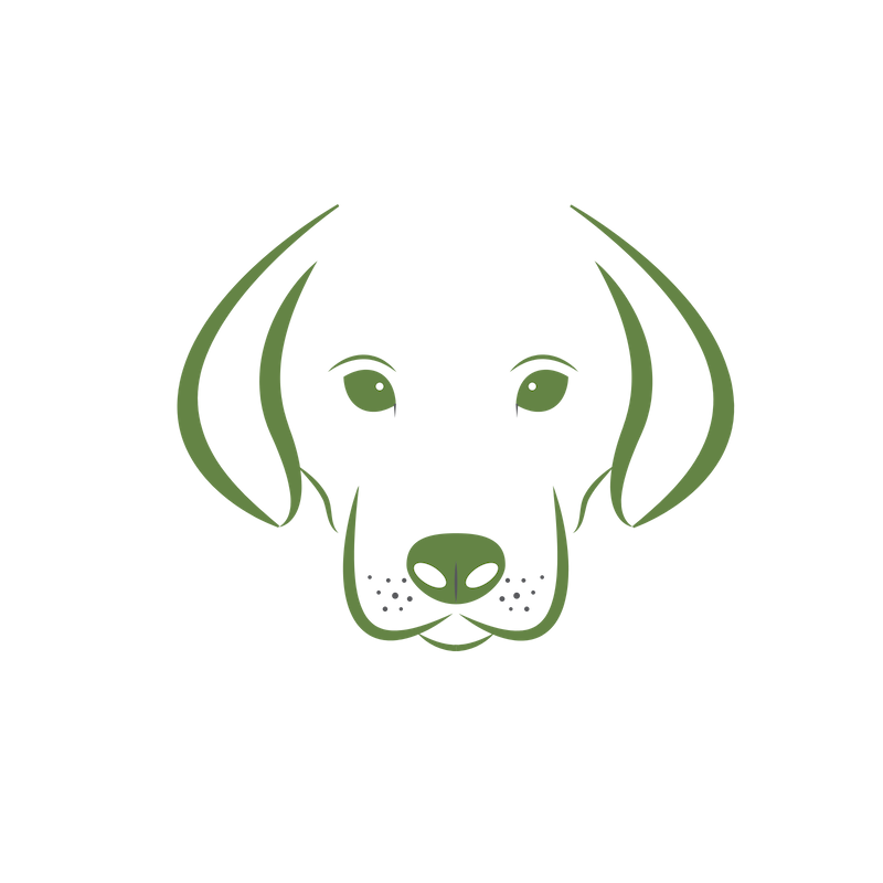 Copy of Untitled Design (2).png