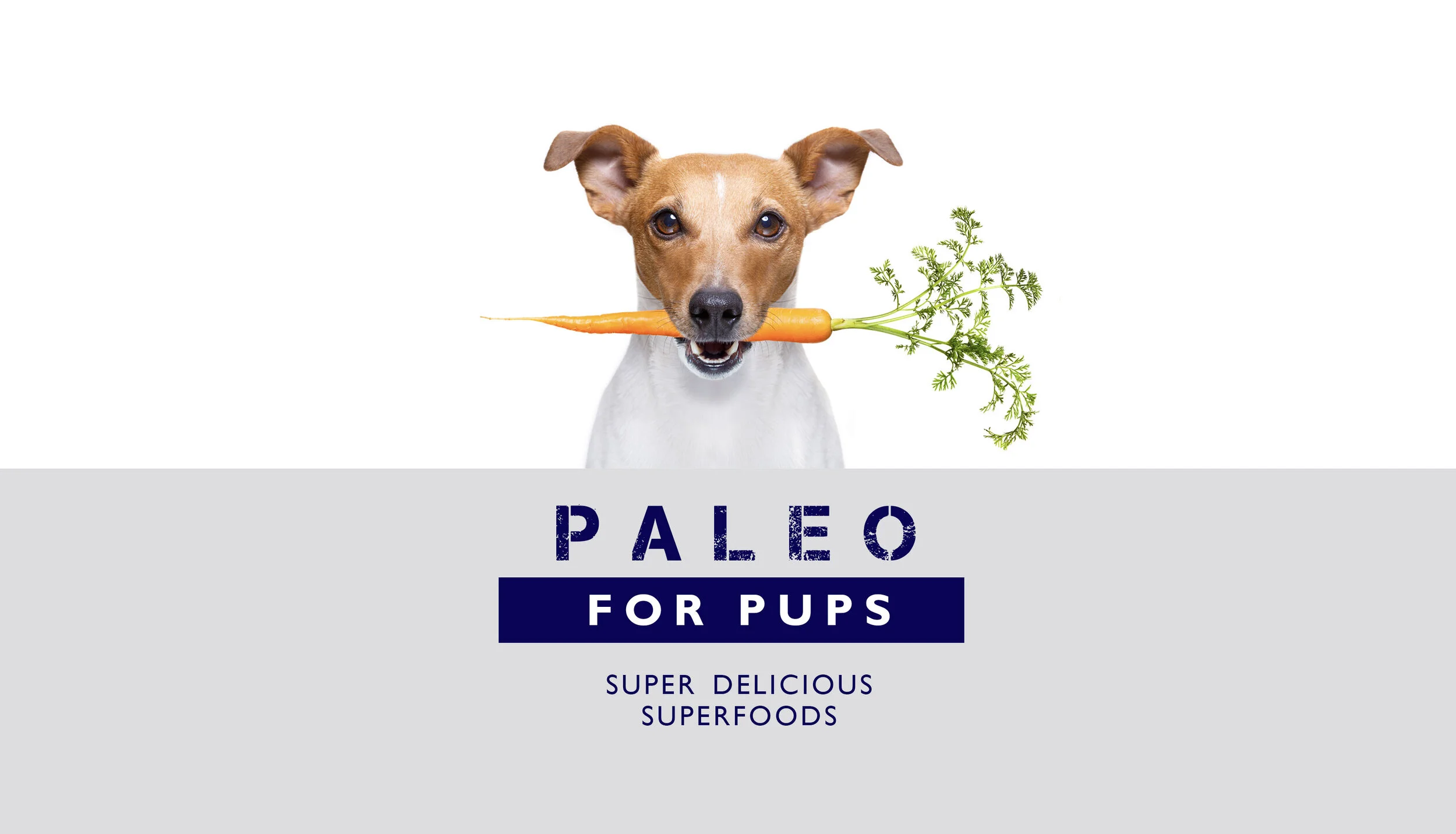 Boo Boos Best_LP_paleo-pup-4.jpg