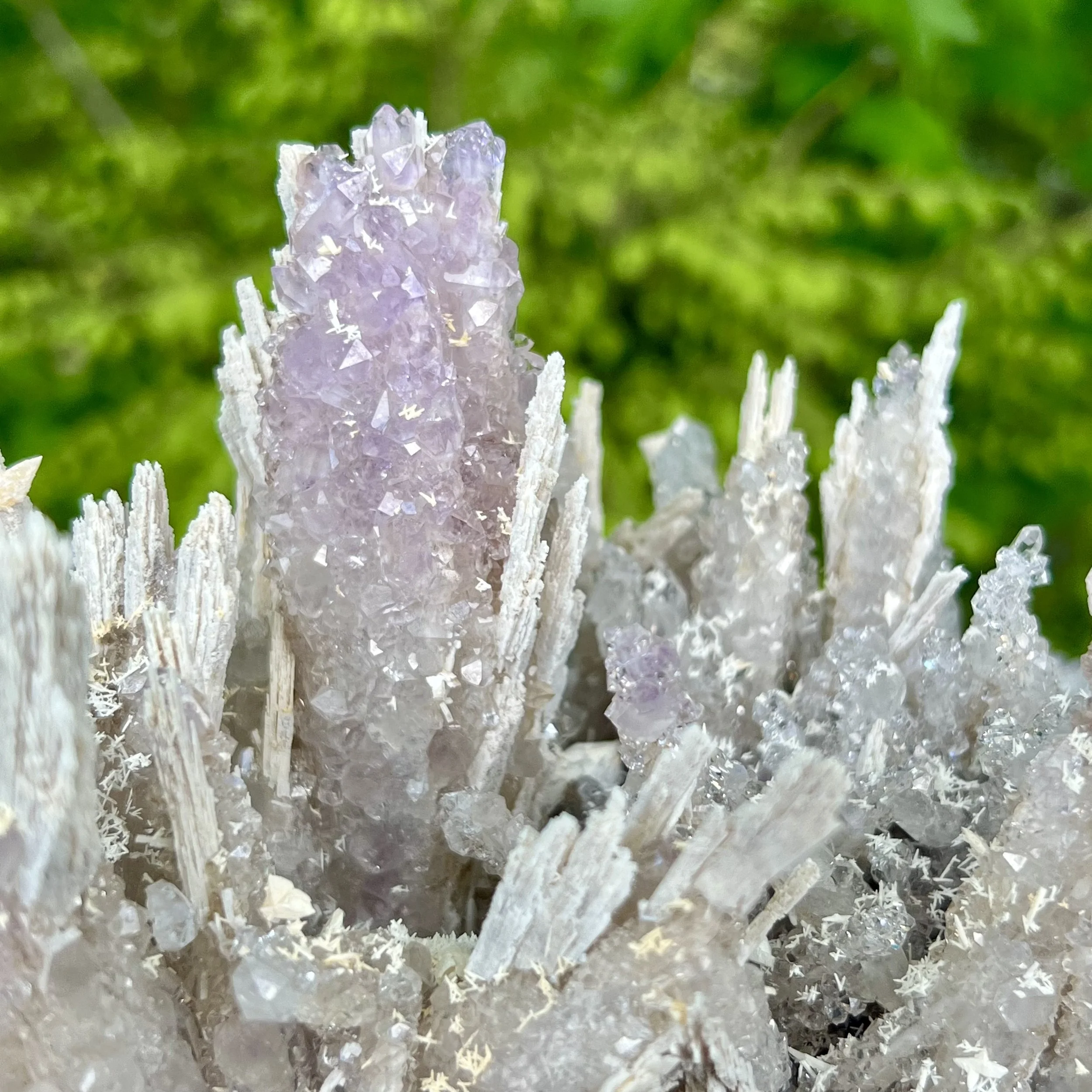 Gem & Lapidary Wholesale Show