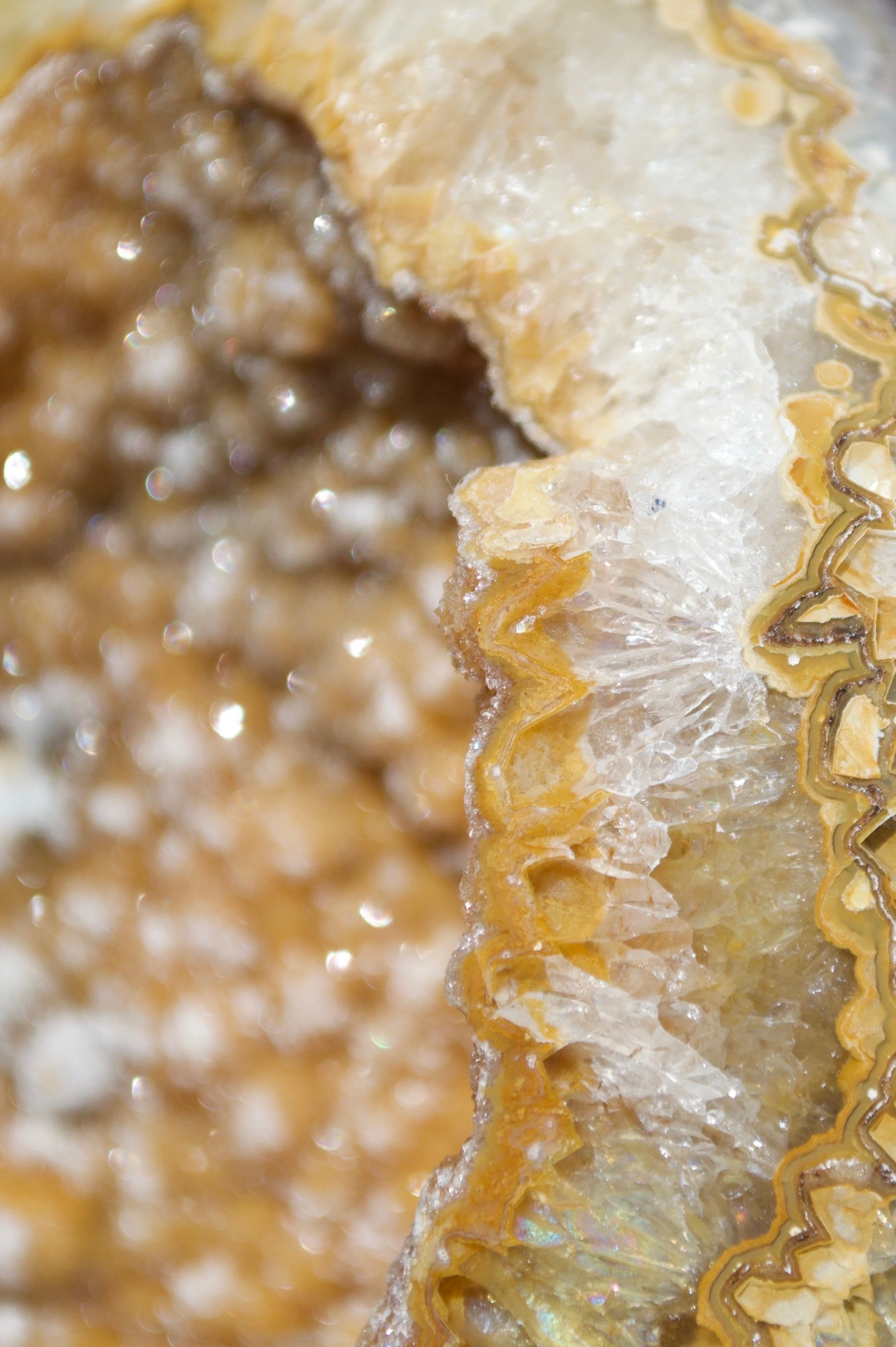 East Coast Gem &amp; Mineral Society - Lets Rock Southern Connecticut 2025