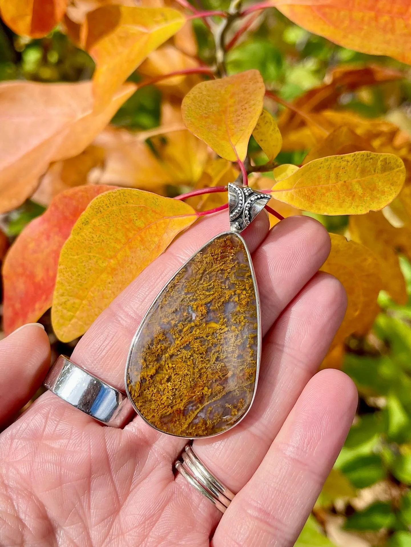 It&rsquo;s been a minute since we posted a pic, so here&rsquo;s a little gem to celebrate the weekend 💎 

This plume agate looks like it was plucked straight off the tree 🍂 Mother Nature really outdid herself on this one!

Plume Agate: $150