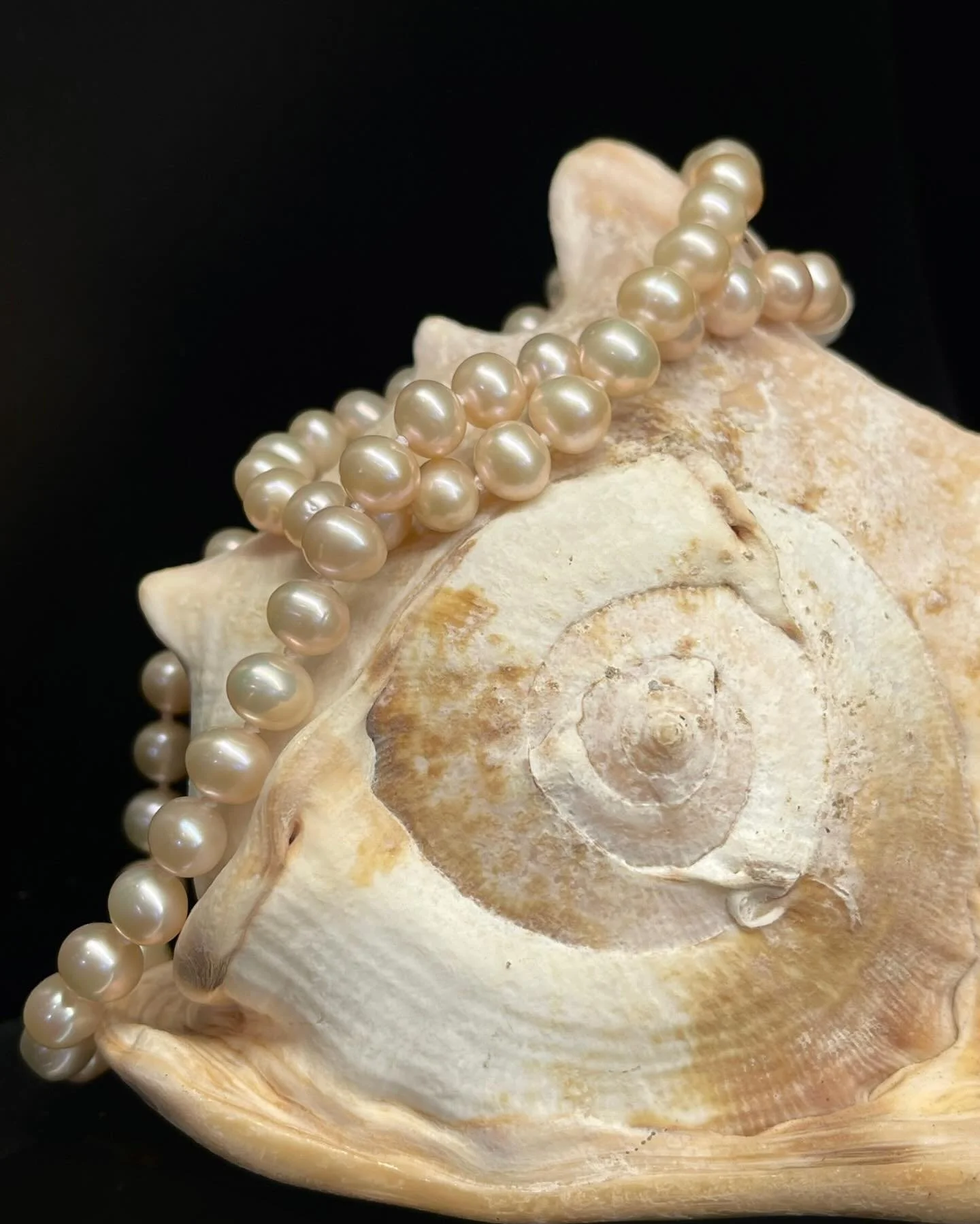 Pearls brought to you by our Hampton Beach display case! 🌊

The first day of spring is Friday, which means we&rsquo;re closer to the warmer weather! We&rsquo;ve been busy prepping the store for the season. So excited to see you this summer! ☀️

Pear