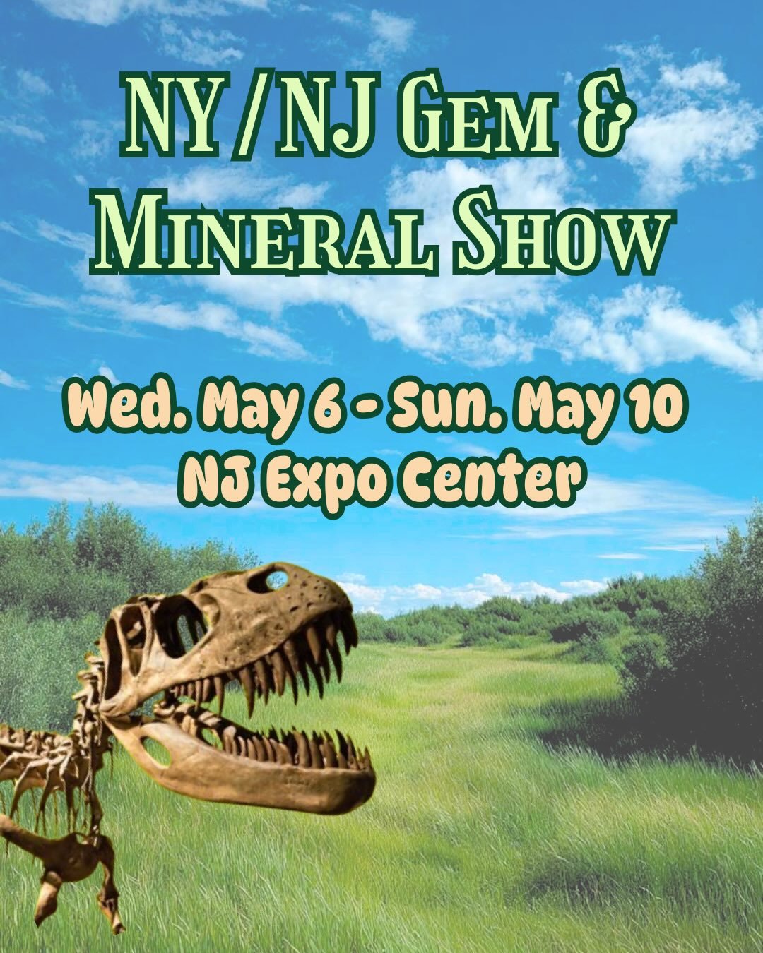 Jersey, come through! 👏🏻

Our booth at the NY/NJ Gem Show in Edison, NJ is packed with raw crystals, rare minerals, fossils, and cut gemstones all under one roof!

If you&rsquo;ve been meaning to stop by, this is your sign to make the trip 🚗

📍 N