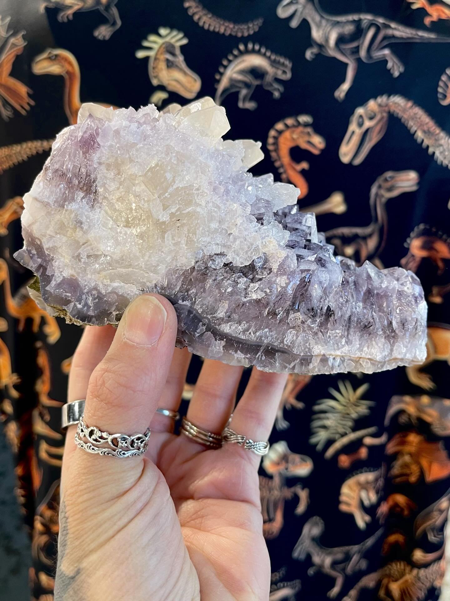 Just me or does this look like a Dino head?? 🦖

Having a blast at the NJ Gem Show so far! Day 2 starting out great with this fun find at our booth 🦕🦴✨

Amethyst Dino Head: $262