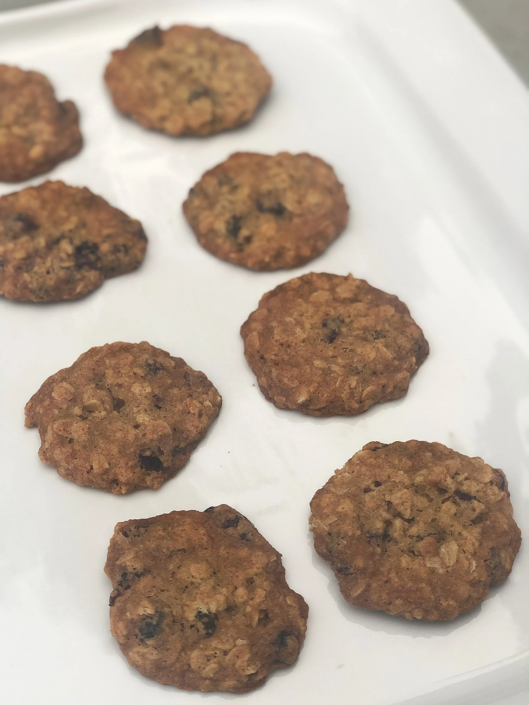 Oatmeal Cranberry