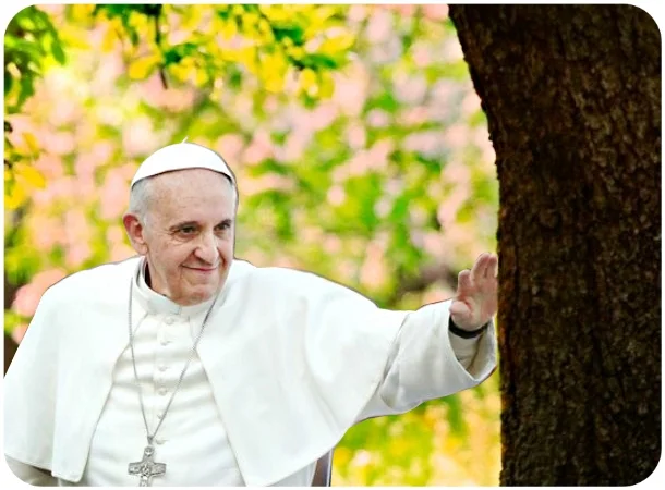 Pope_Francis_tree.jpg