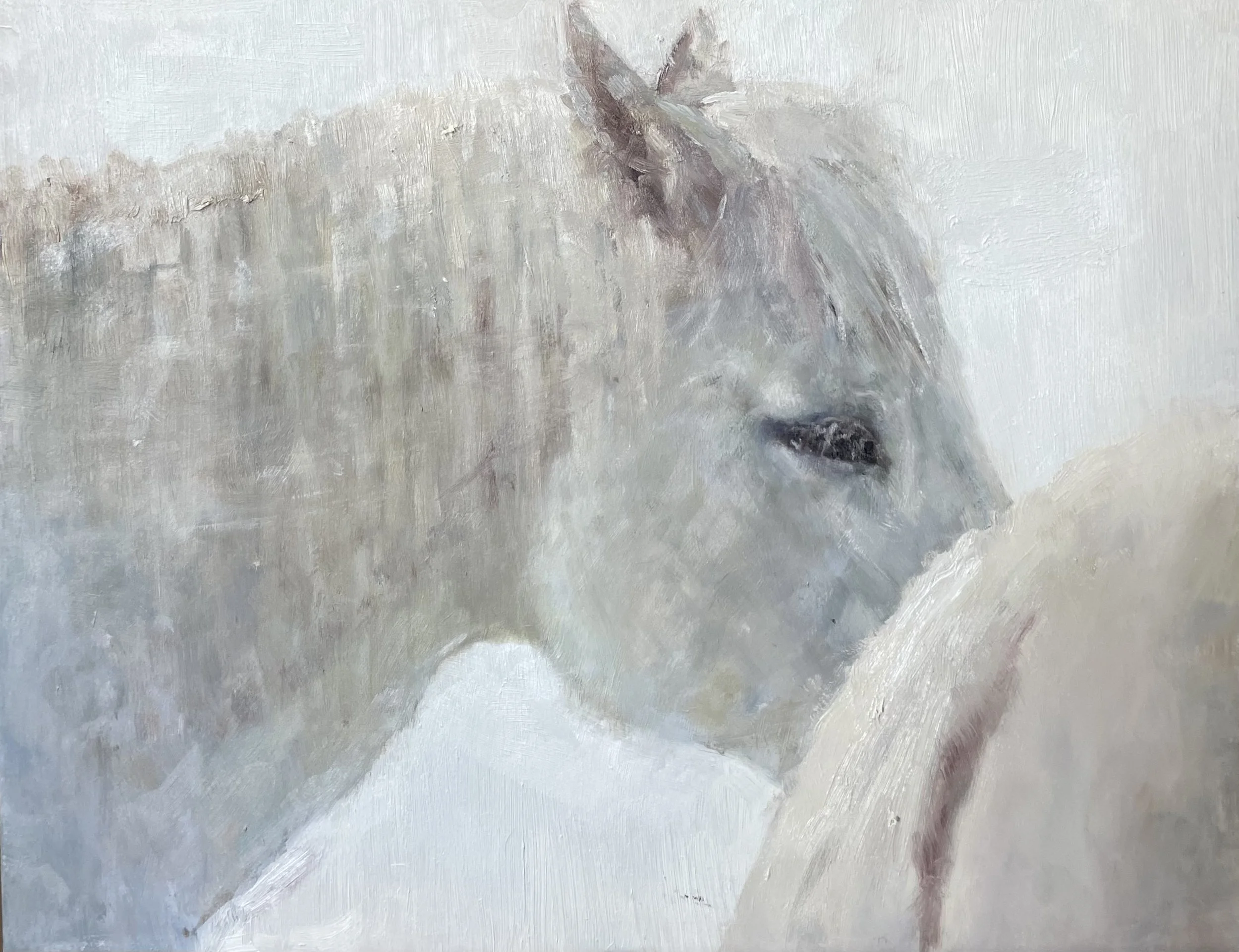 IMG_2506.jpeg Photos_Loving Horses Image 1.jpeg