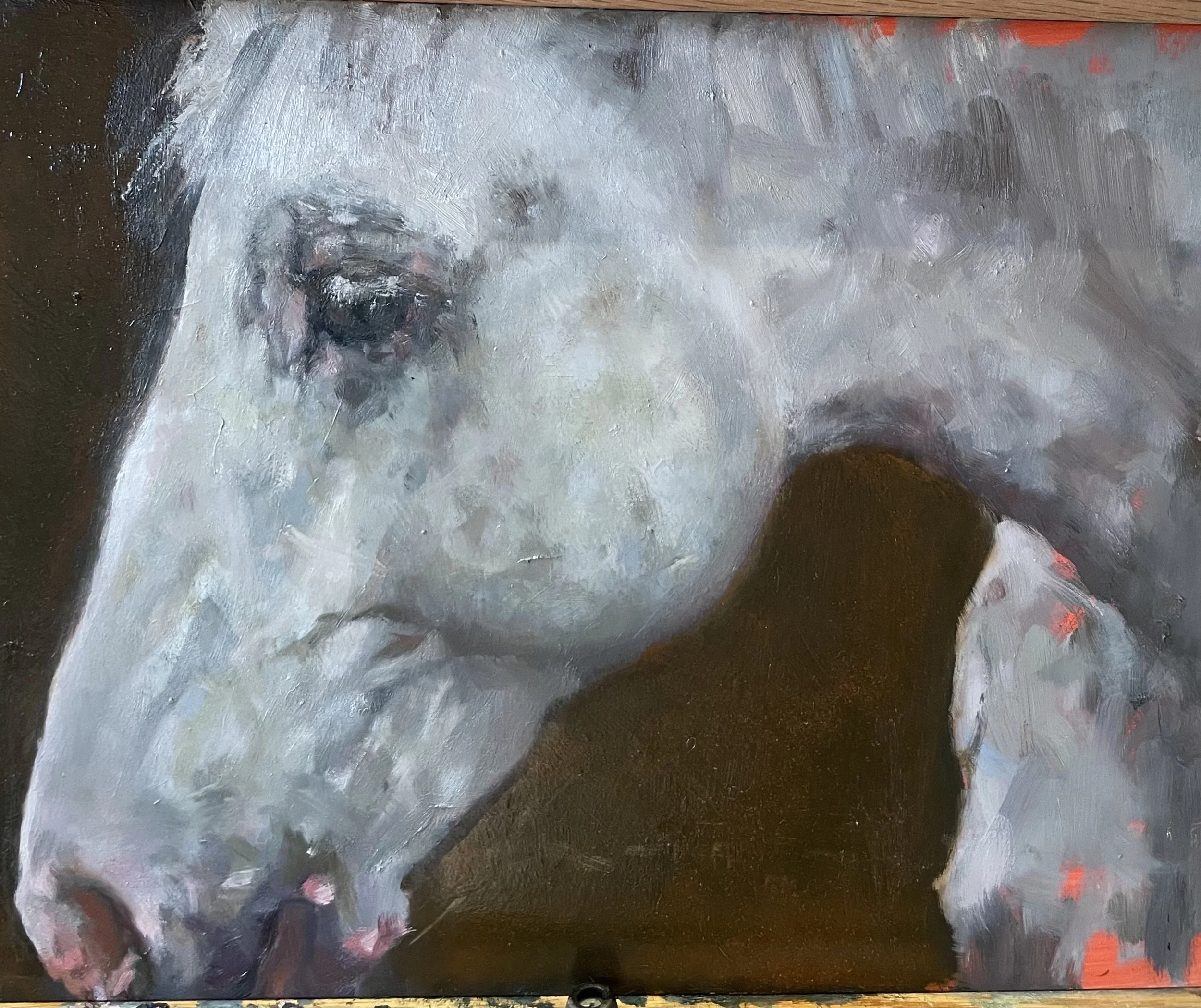 IMG_2412._Photos_Loving Horses Image 2.jpeg