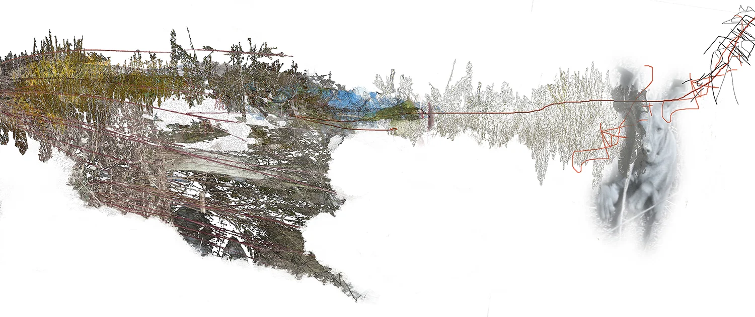 Jerico Winter
