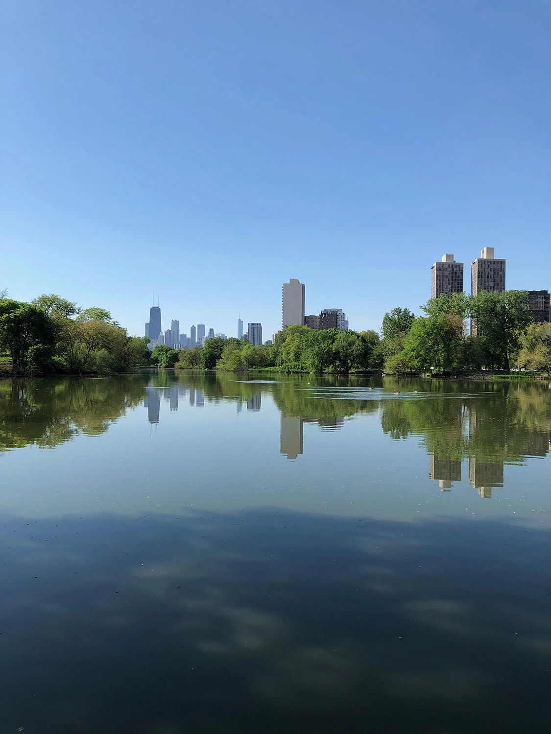 chicago3.jpg