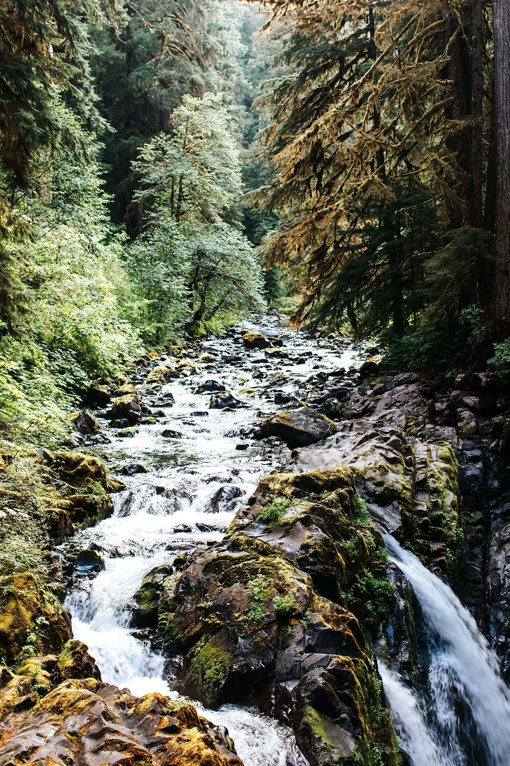 4L0A8456.jpg