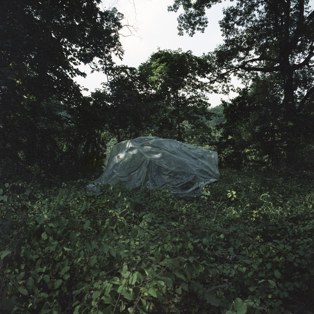 Travis Mitzel