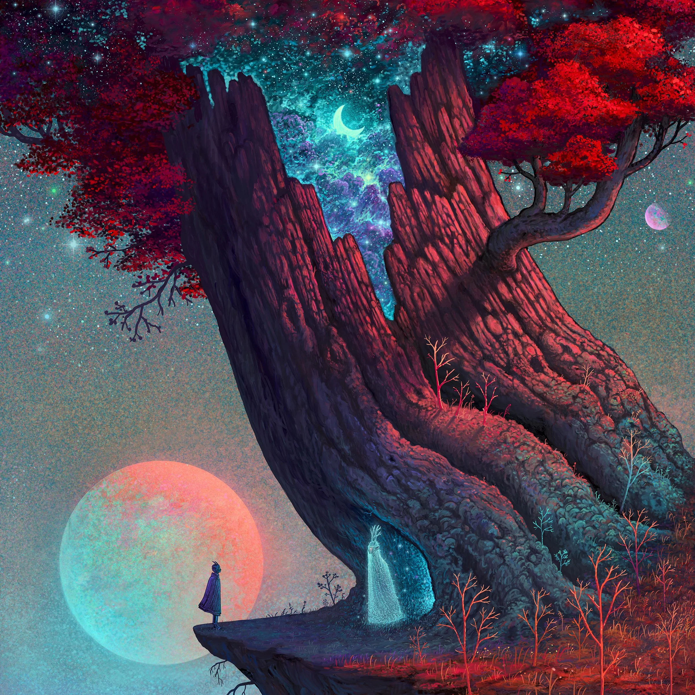 Andy Kehoe