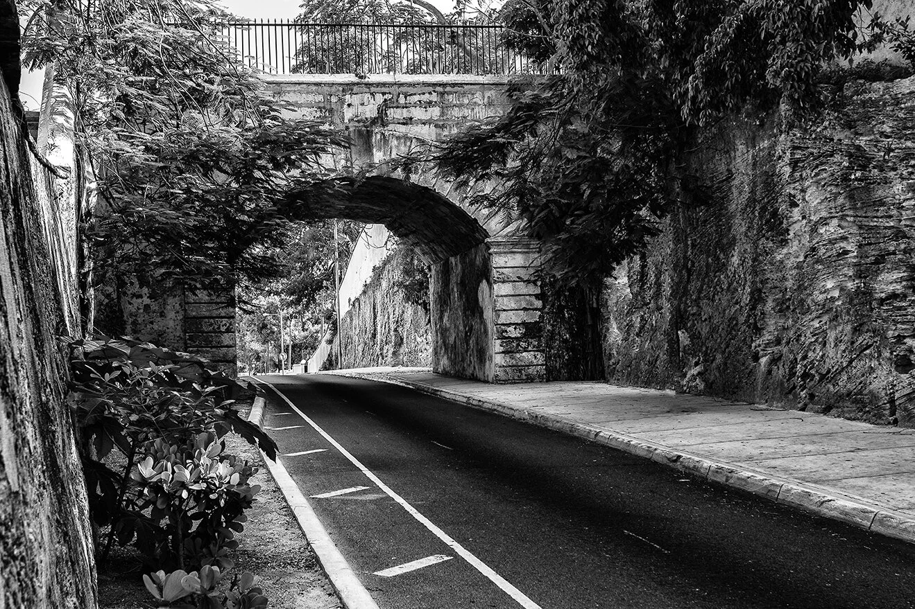 _GGL4224 - Silver Efex - SML.jpg
